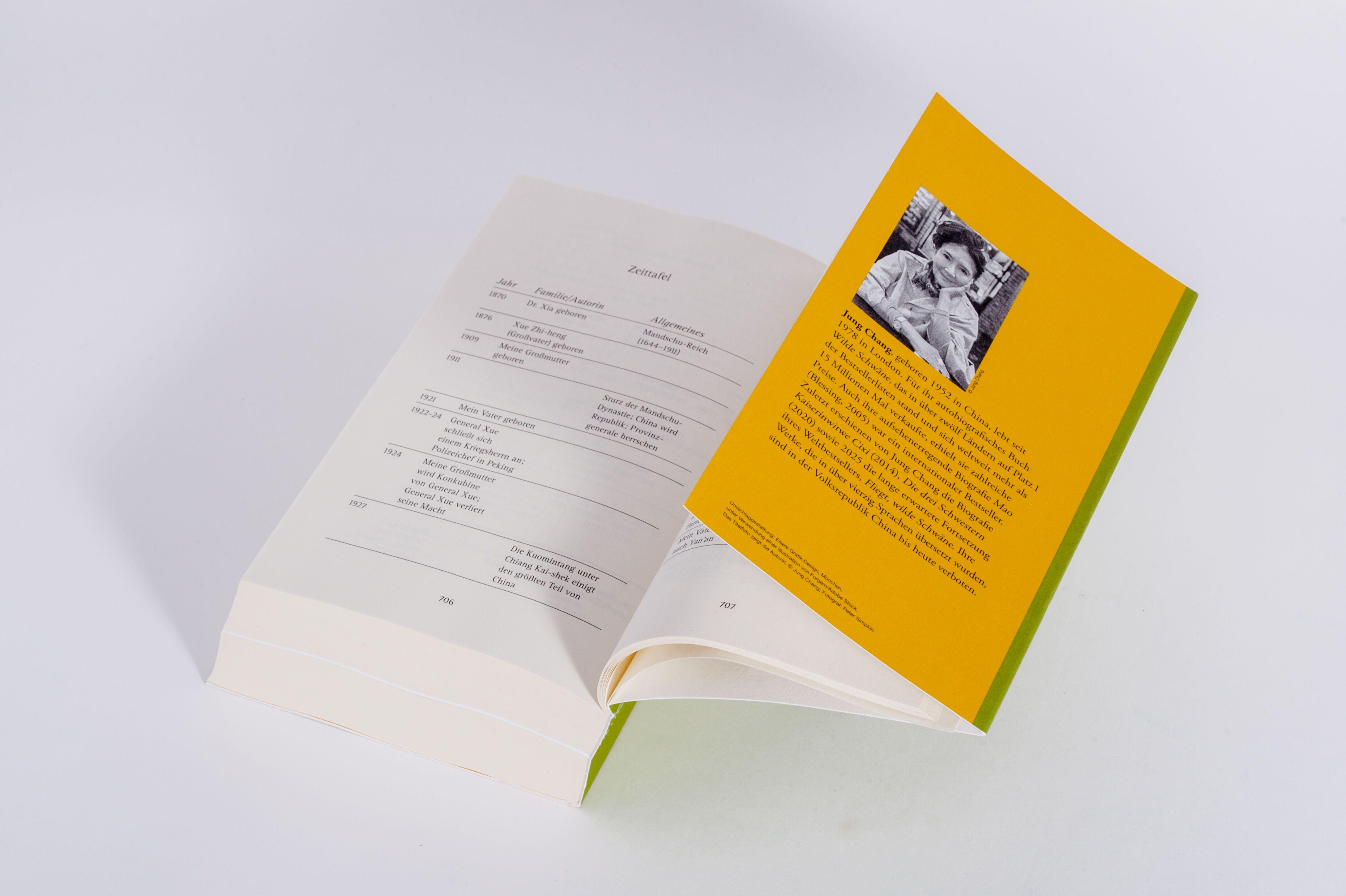 Beispielinhalt (Bild) Wilde Schwäne