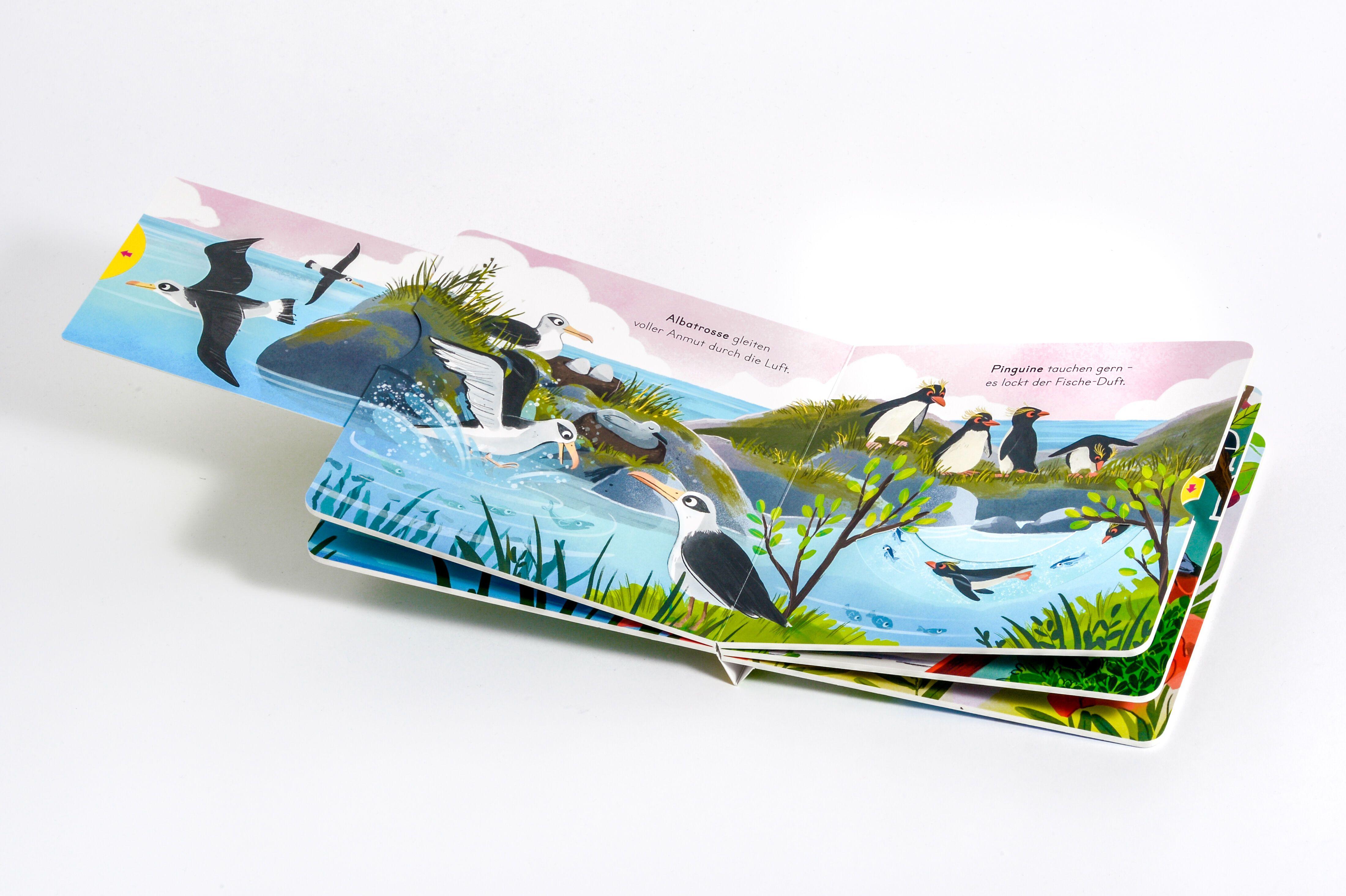 Beispielinhalt (Bild) Komm mit nach draußen! Vögel