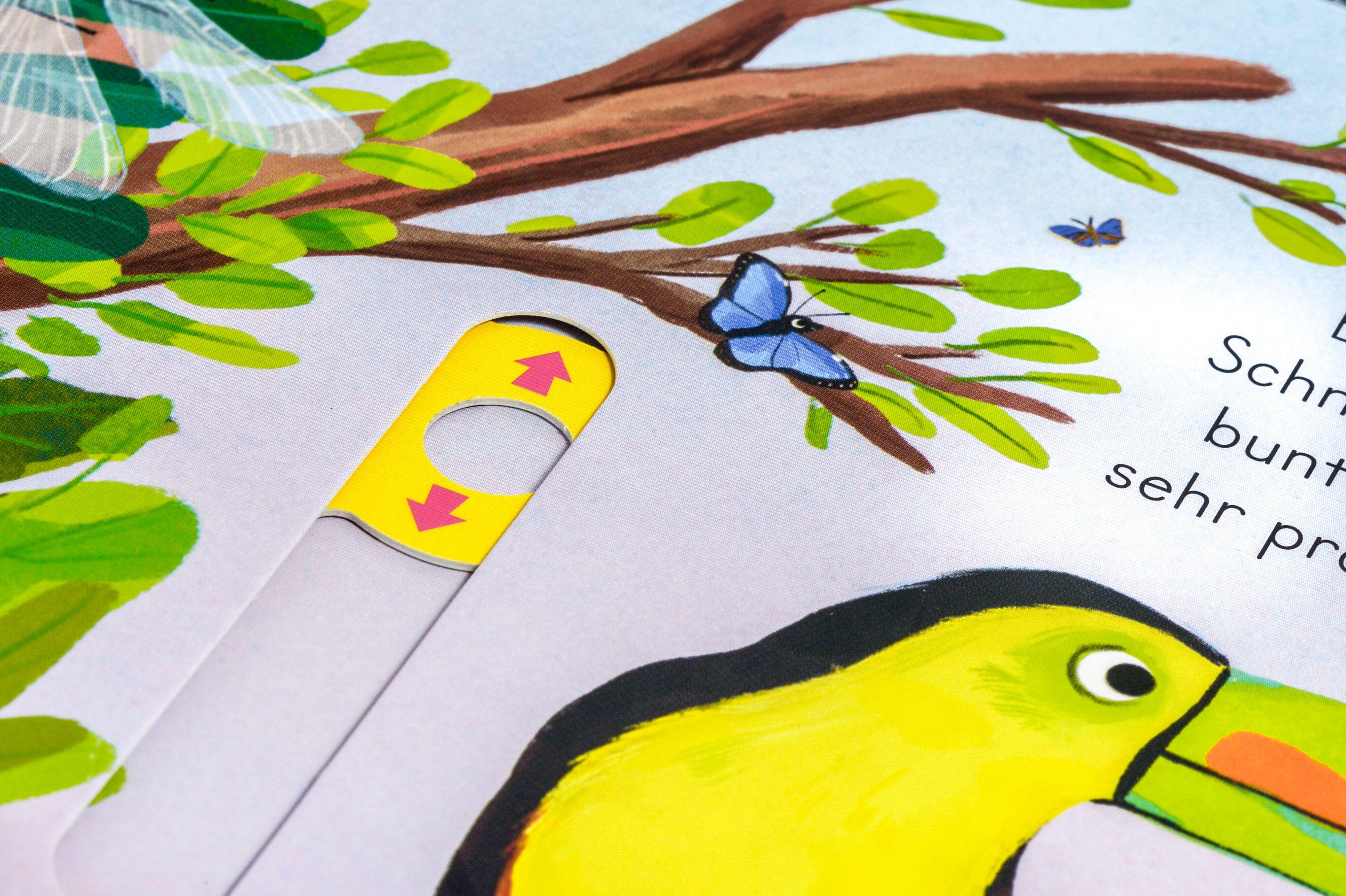 Beispielinhalt (Bild) Komm mit nach draußen! Vögel