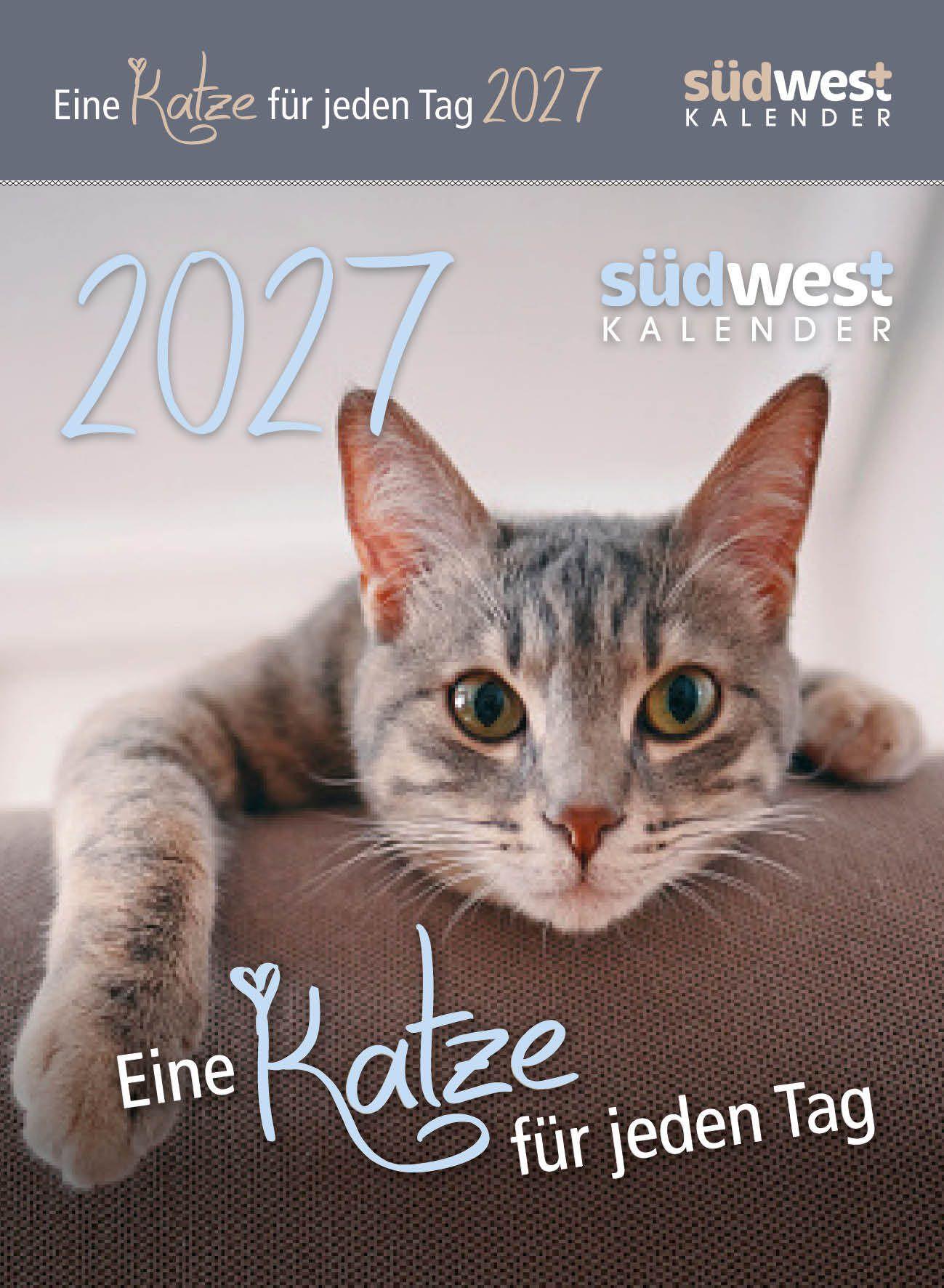 Vorderes Coverbild Eine Katze für jeden Tag 2027  - Tagesabreißkalender zum Aufstellen oder Aufhängen