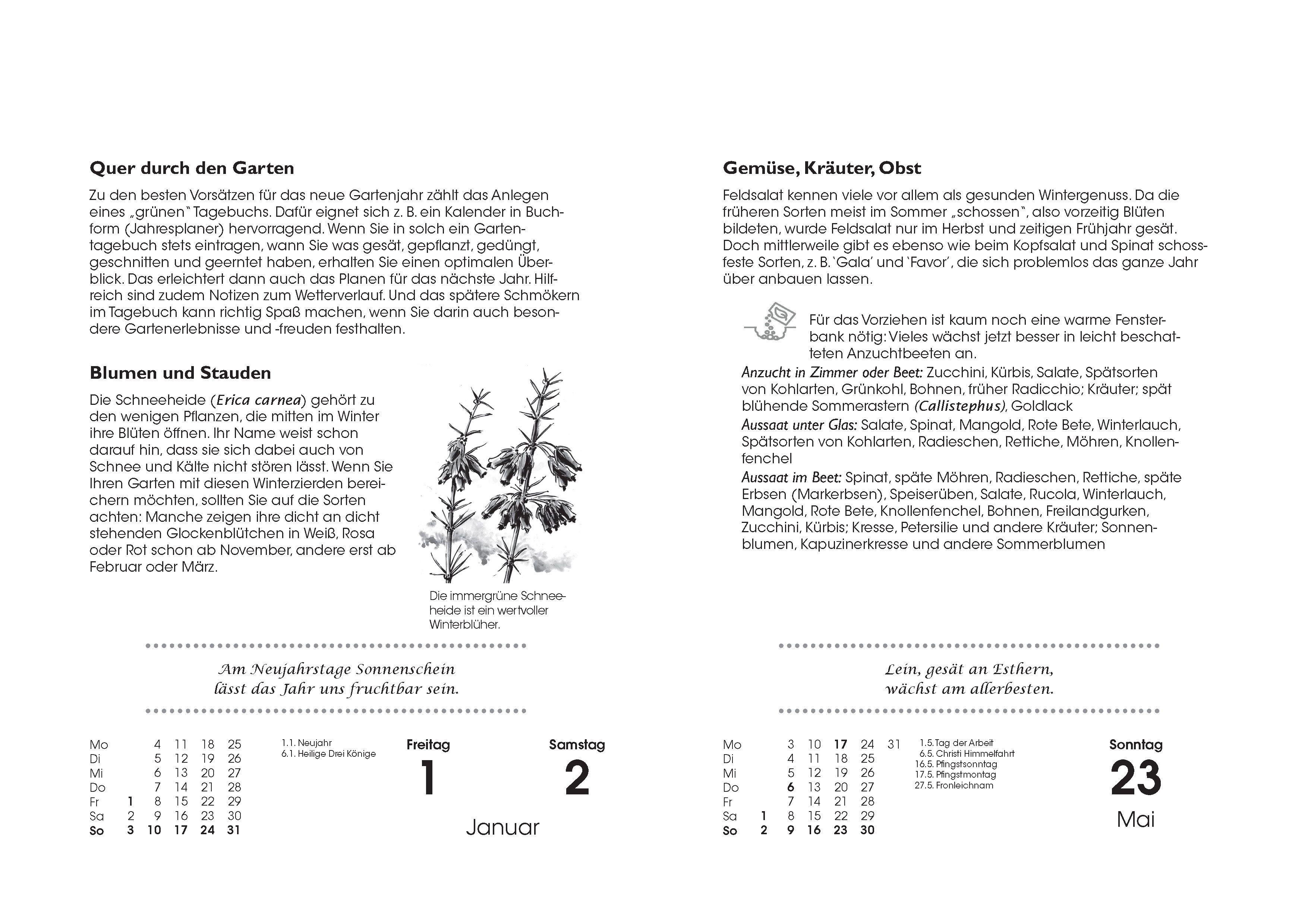 Beispielinhalt (Bild) Gartenkalender 2027