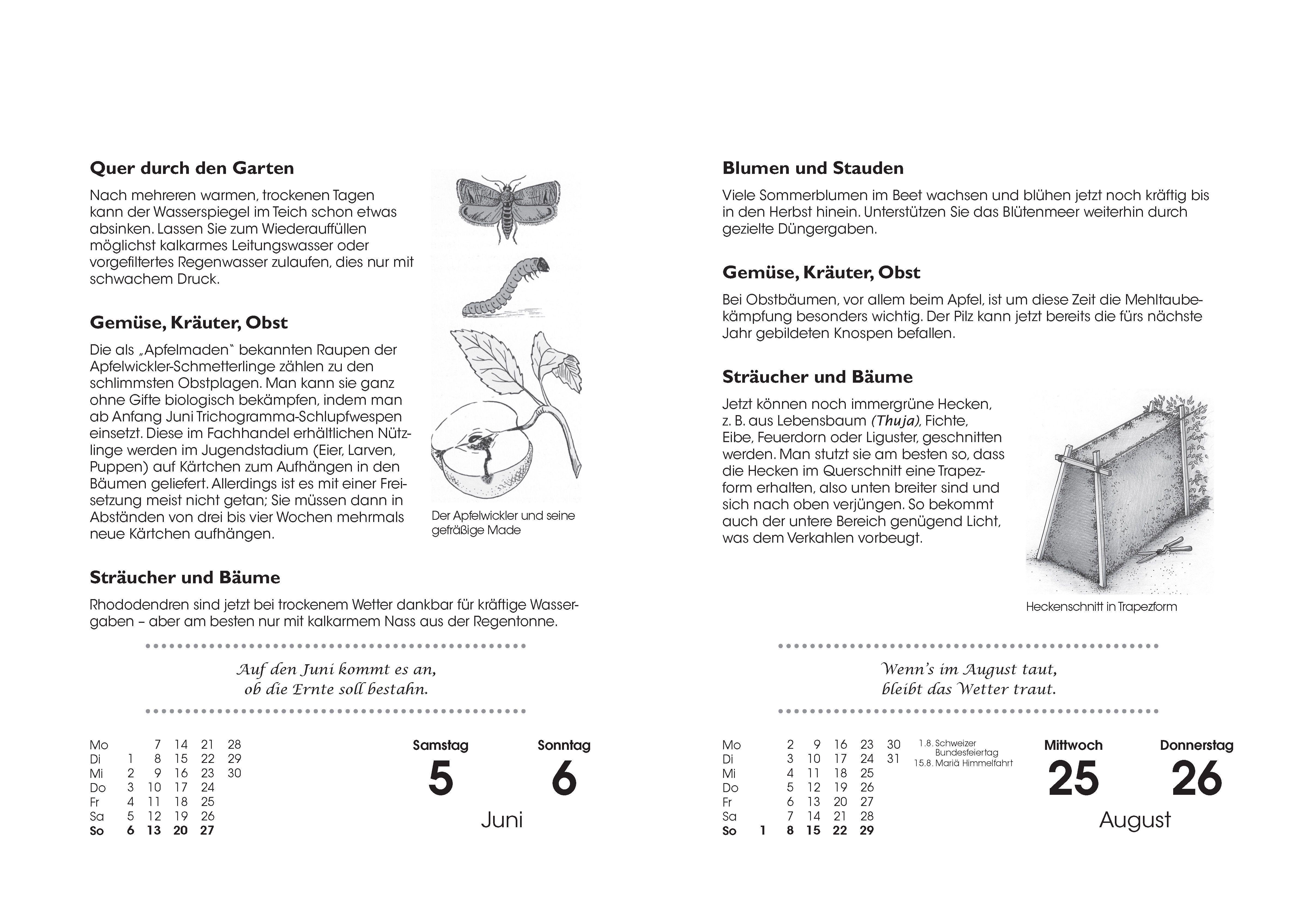 Beispielinhalt (Bild) Gartenkalender 2027