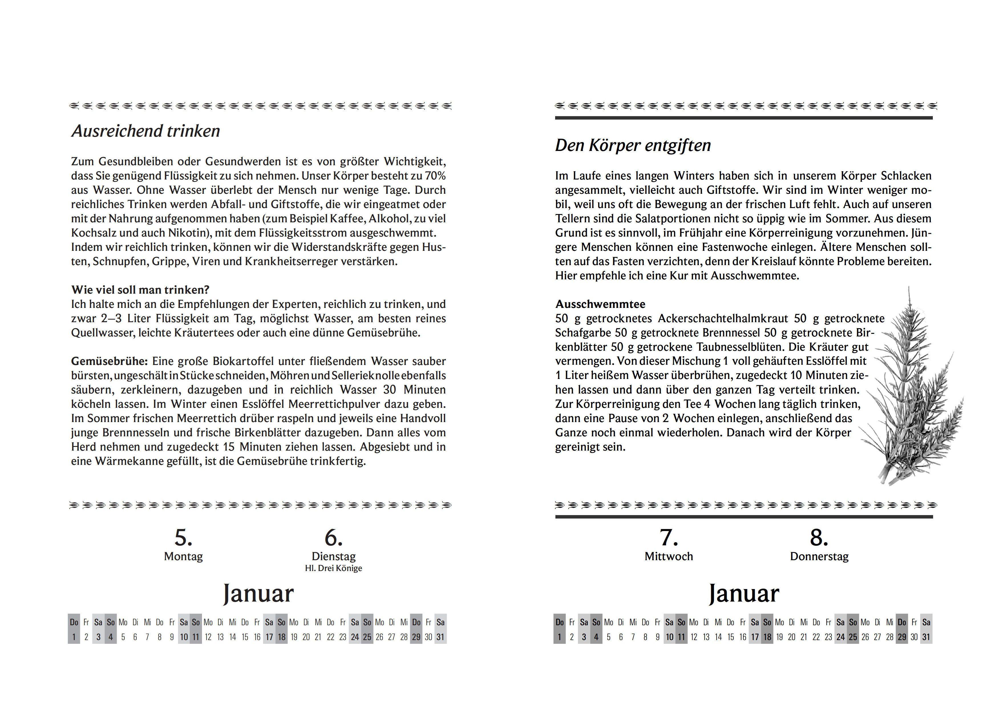 Beispielinhalt (Bild) Liesel Malms Kräuterkalender 2027. Mit der Heilkraft der Natur durchs Jahr