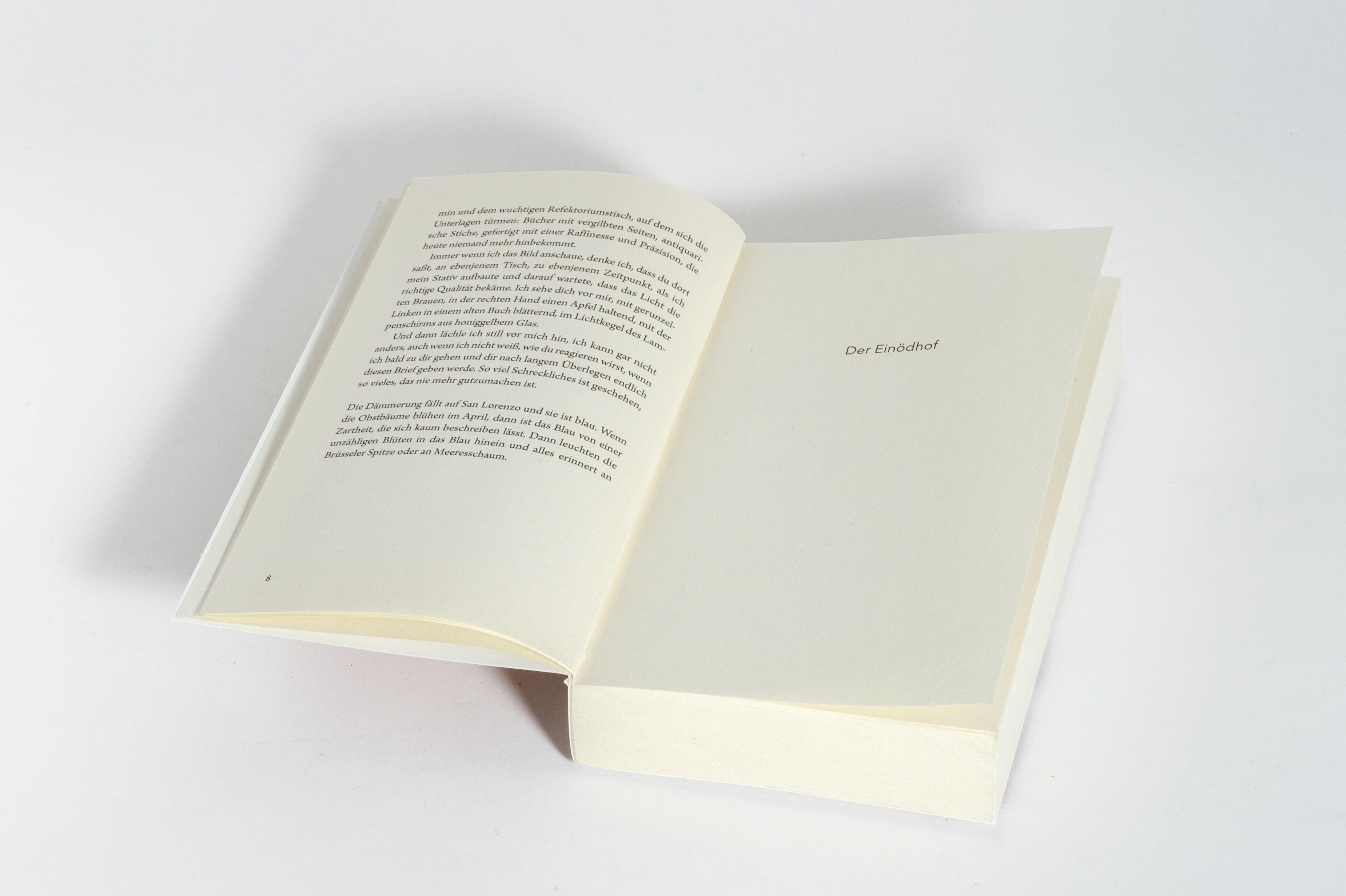 Beispielinhalt (Bild) Der Apfelsammler