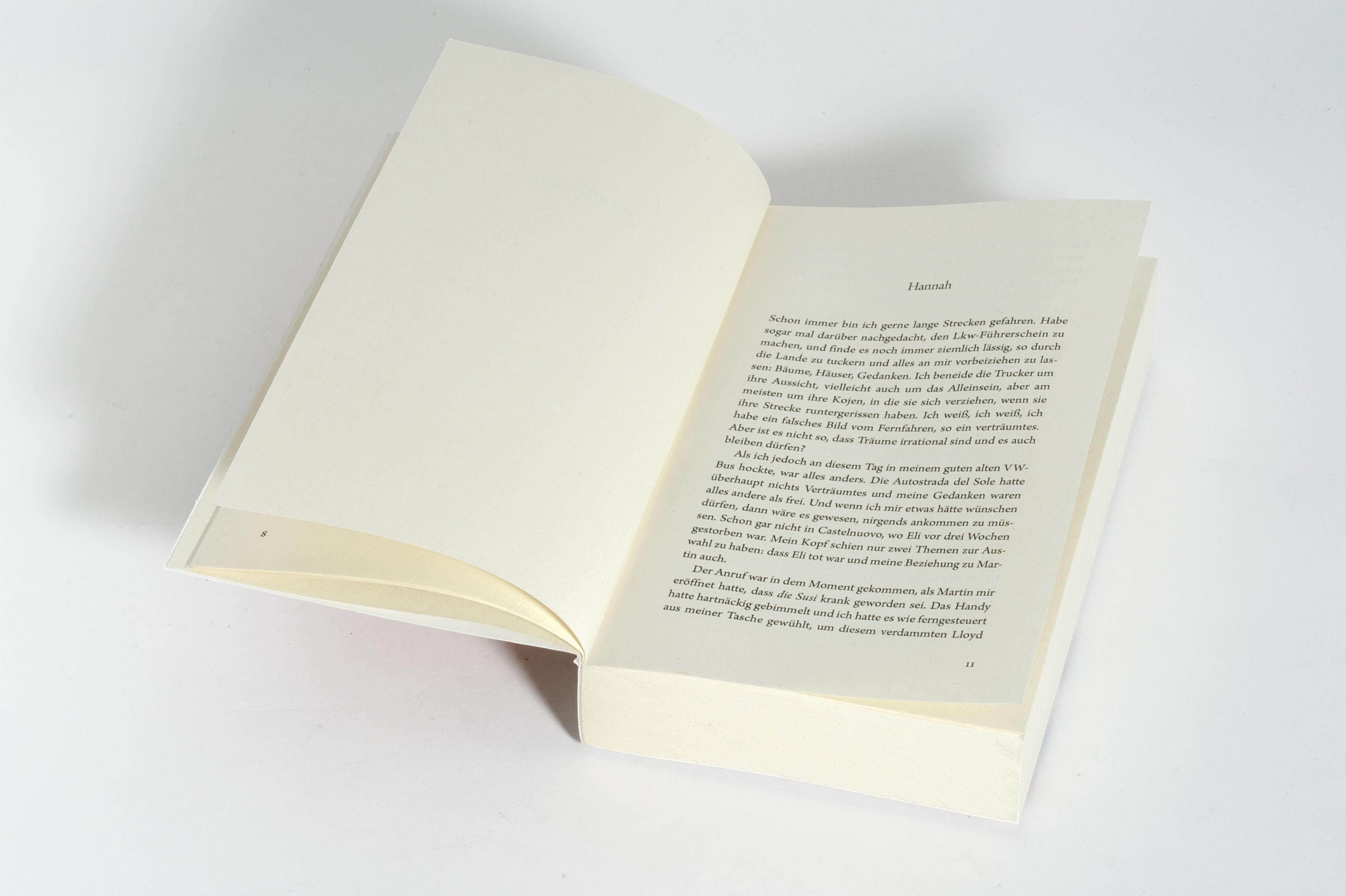 Beispielinhalt (Bild) Der Apfelsammler