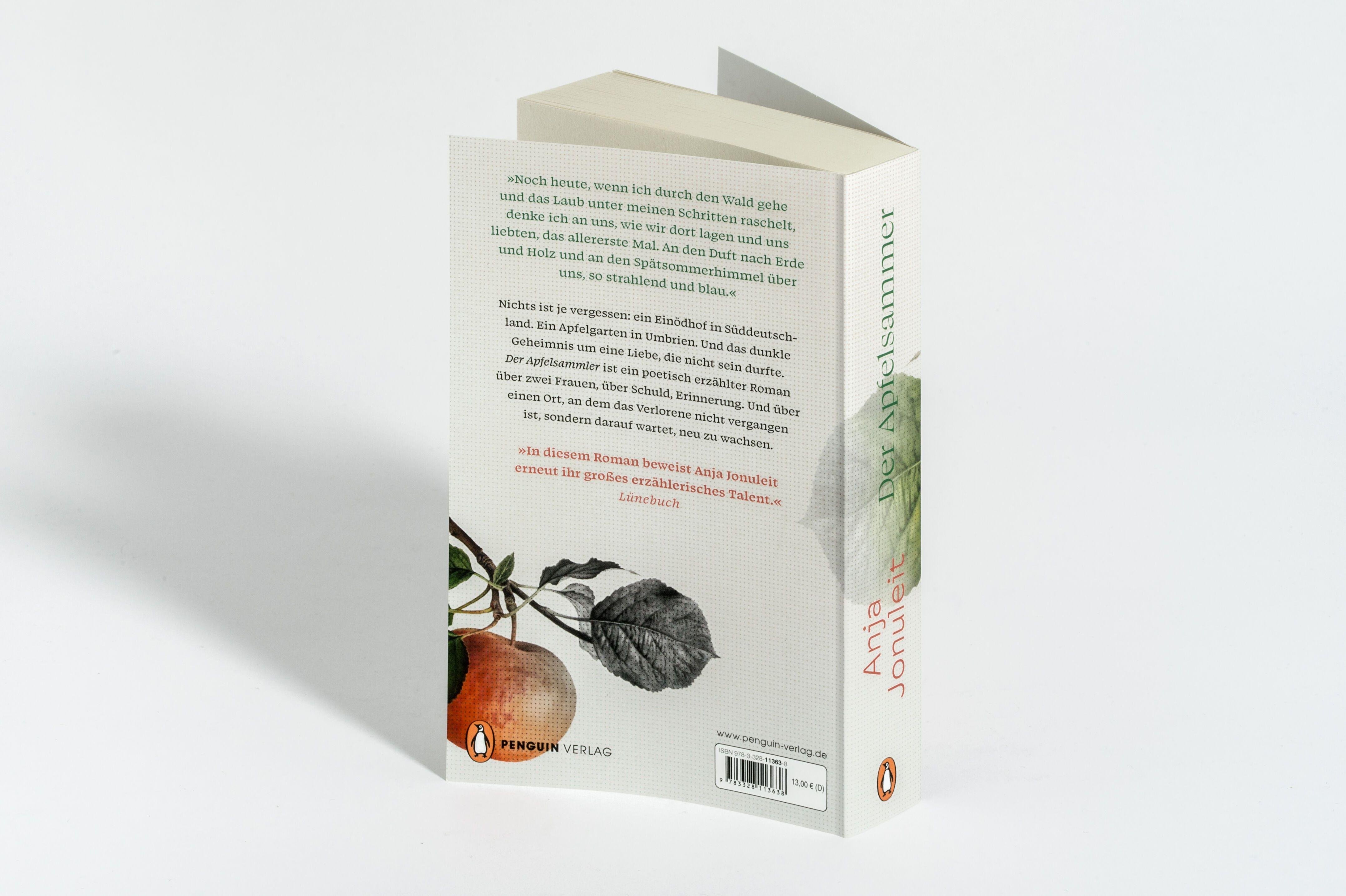 Beispielinhalt (Bild) Der Apfelsammler