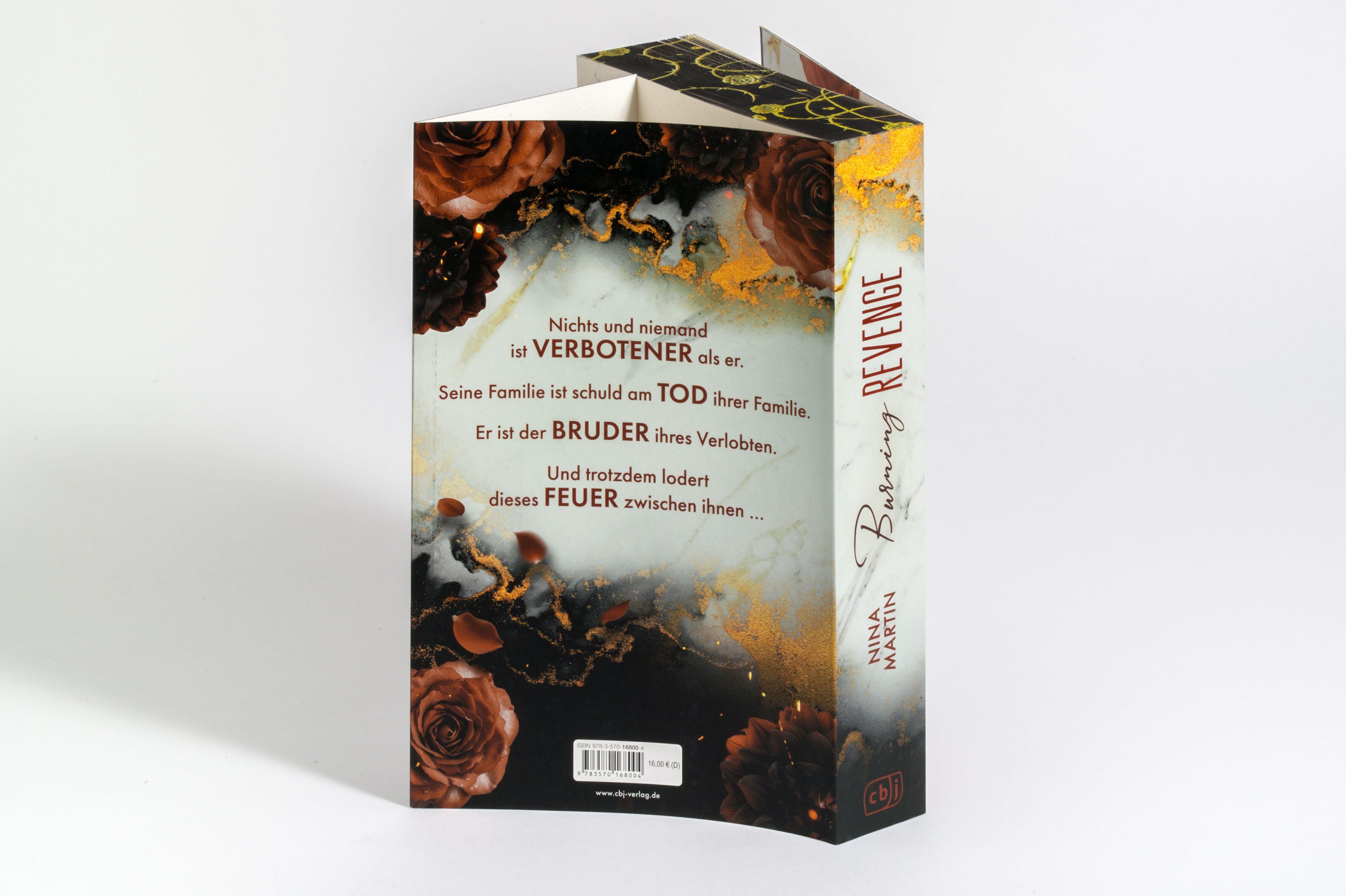 Beispielinhalt (Bild) Burning Revenge