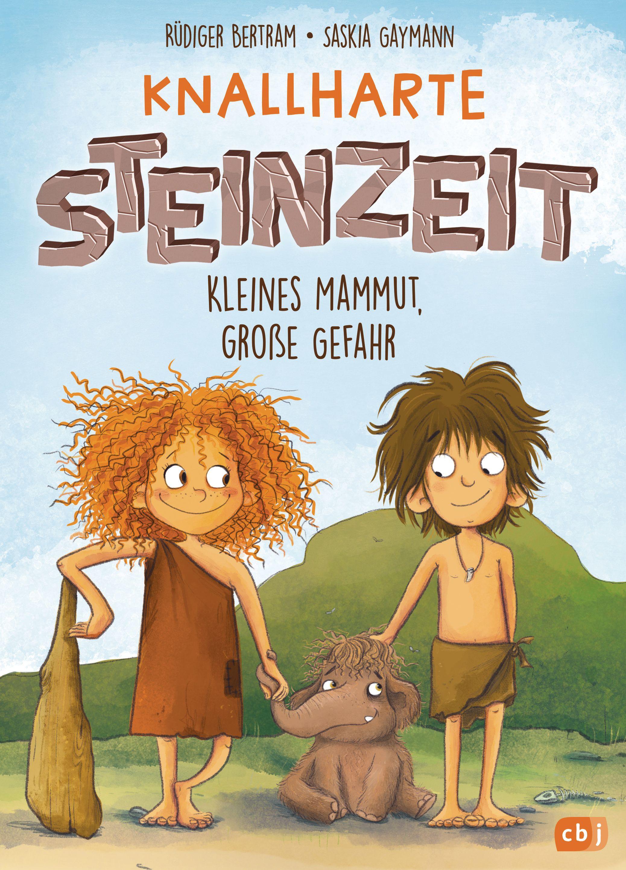 Vorderes Coverbild Knallharte Steinzeit