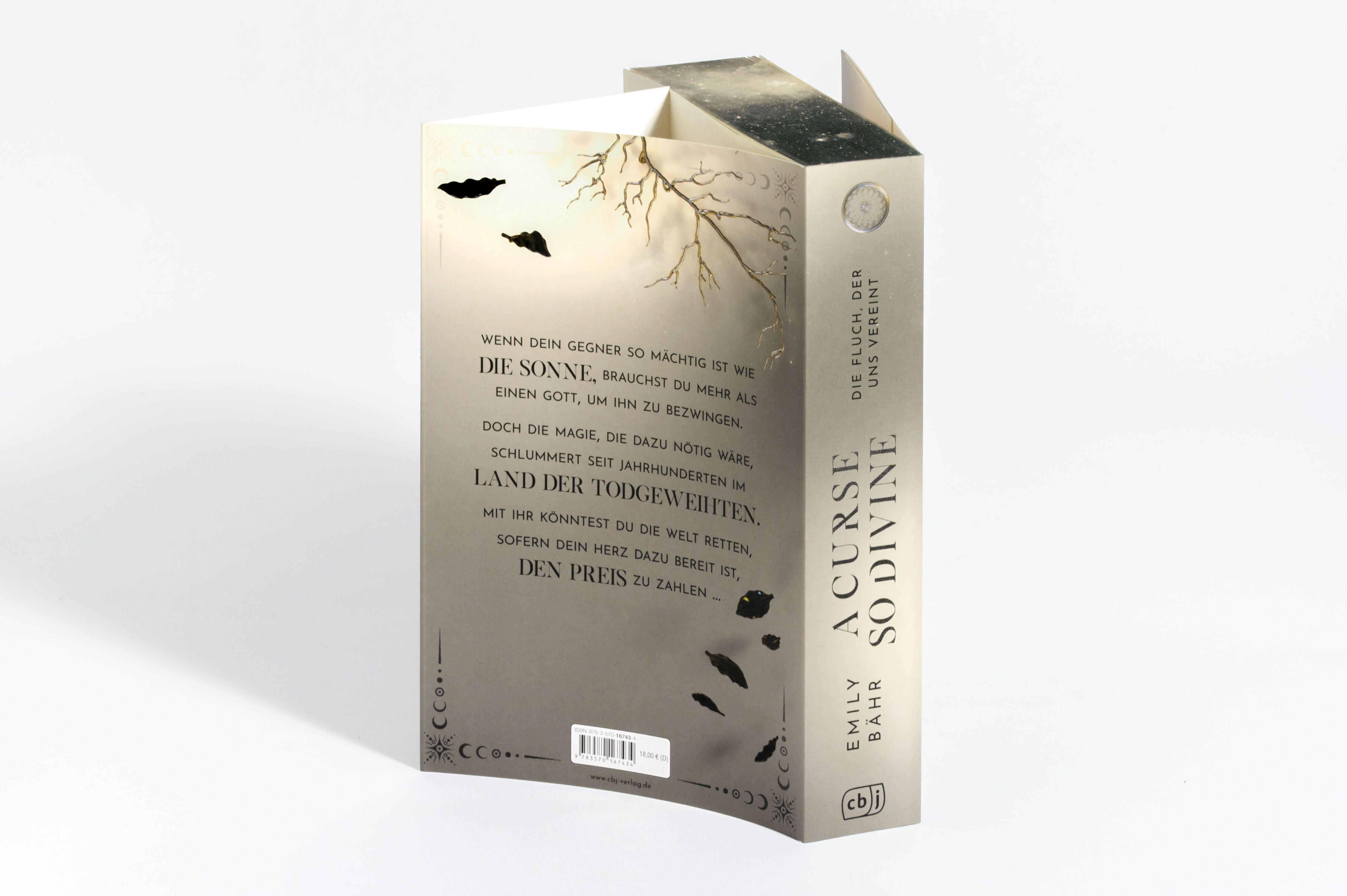 Beispielinhalt (Bild) A Curse so Divine