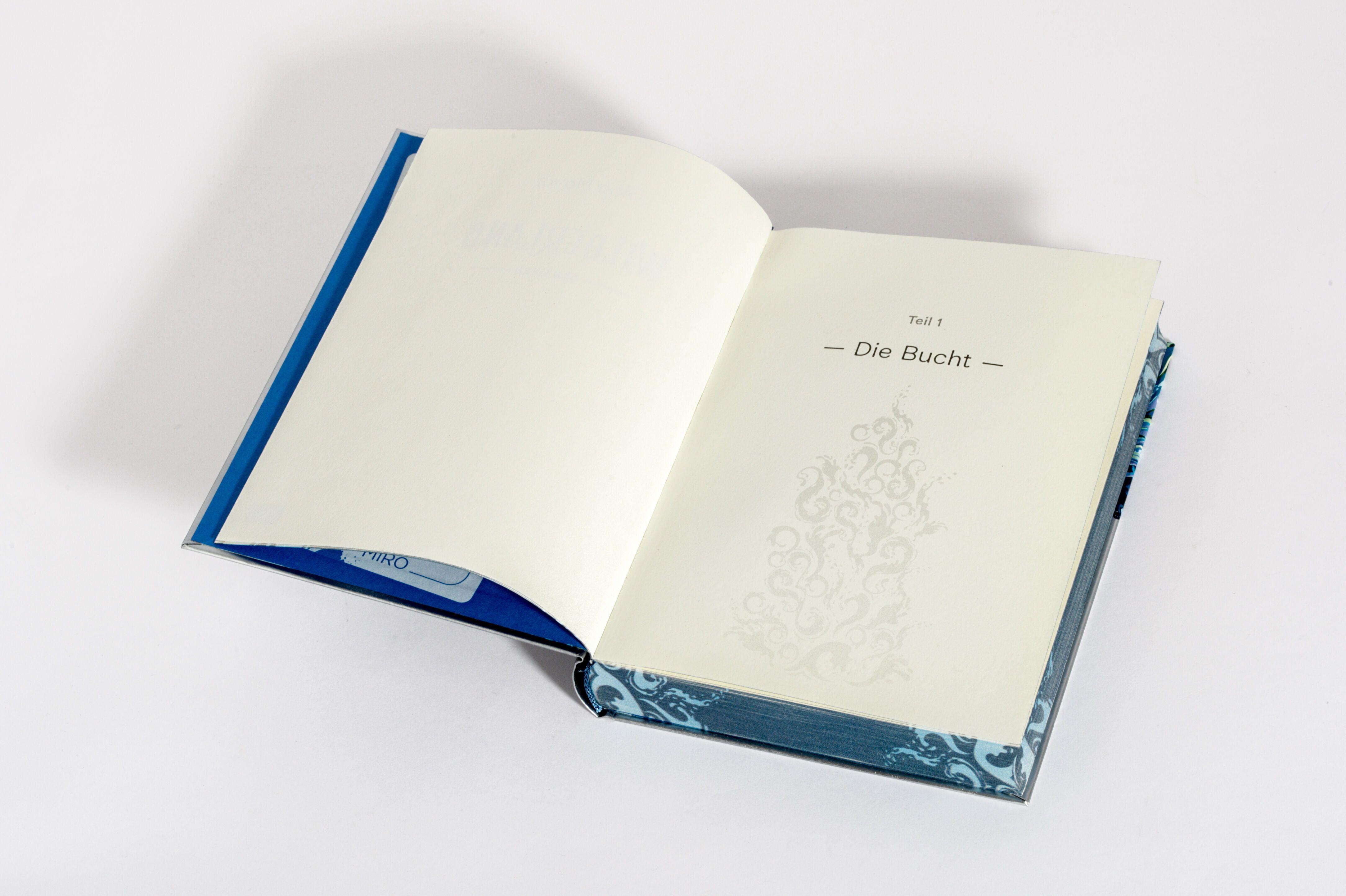 Beispielinhalt (Bild) Wilderland - Das Meer