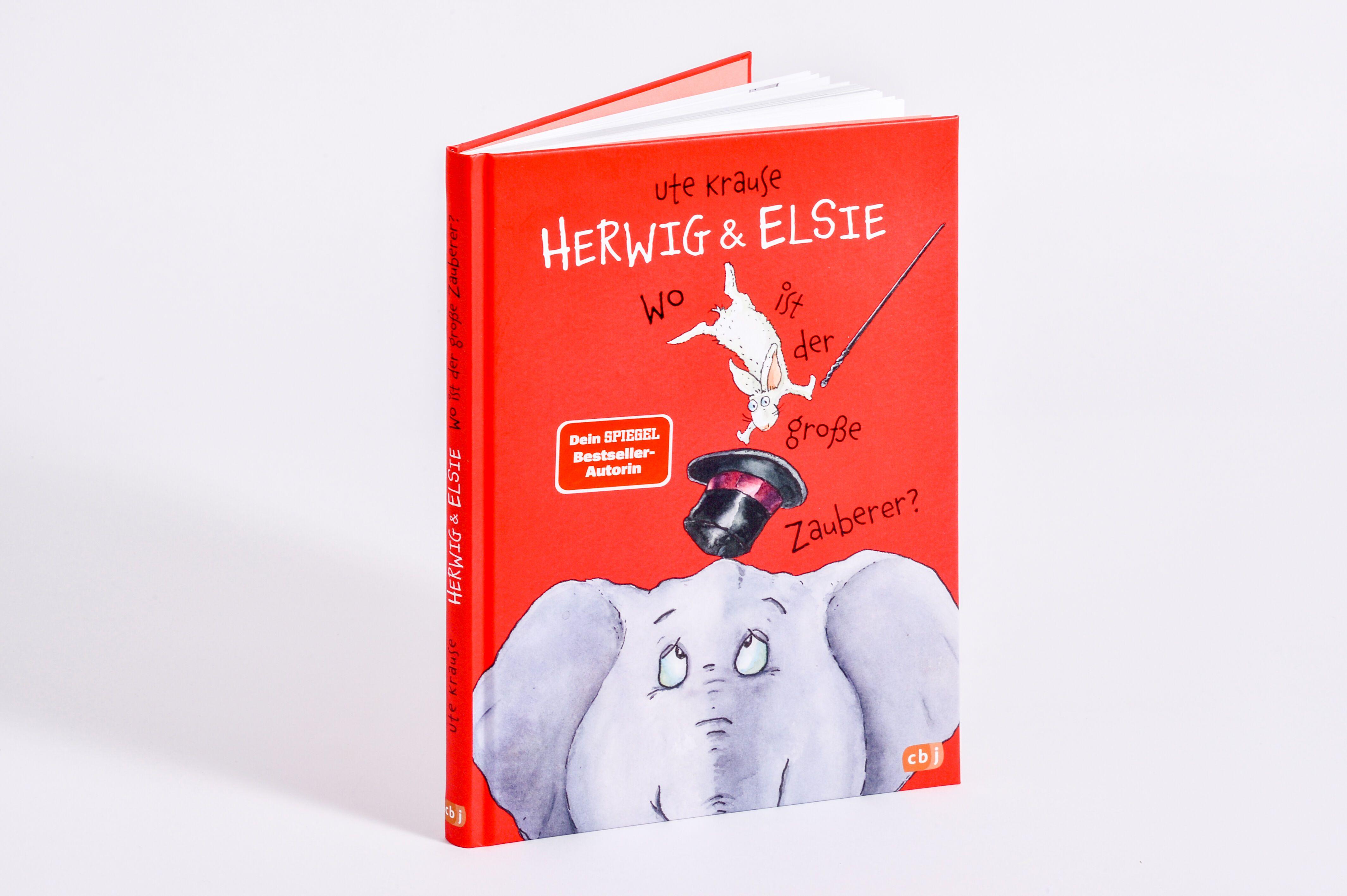 Beispielinhalt (Bild) Herwig und Elsie - Wo ist der große Zauberer?