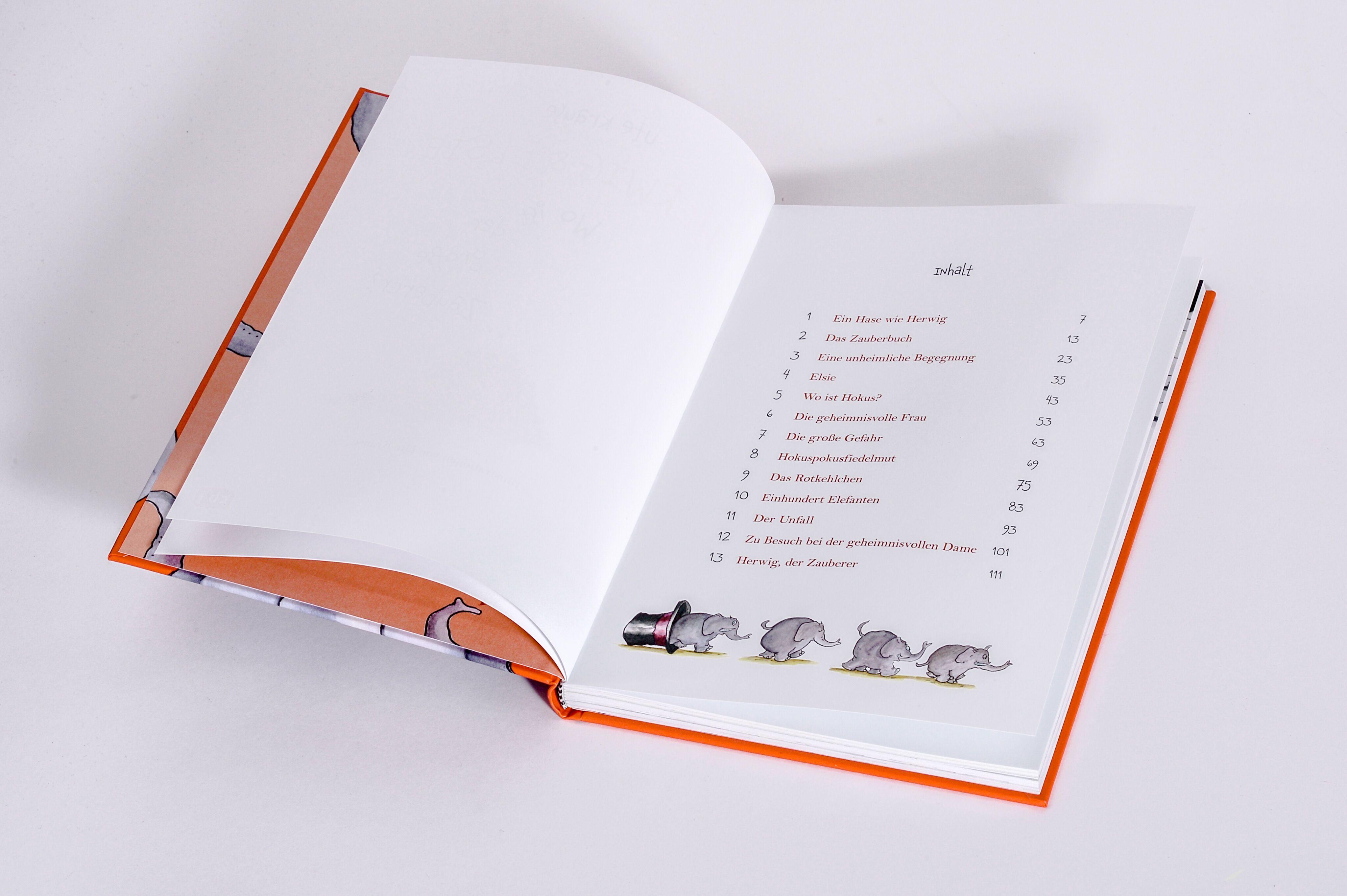 Beispielinhalt (Bild) Herwig und Elsie - Wo ist der große Zauberer?