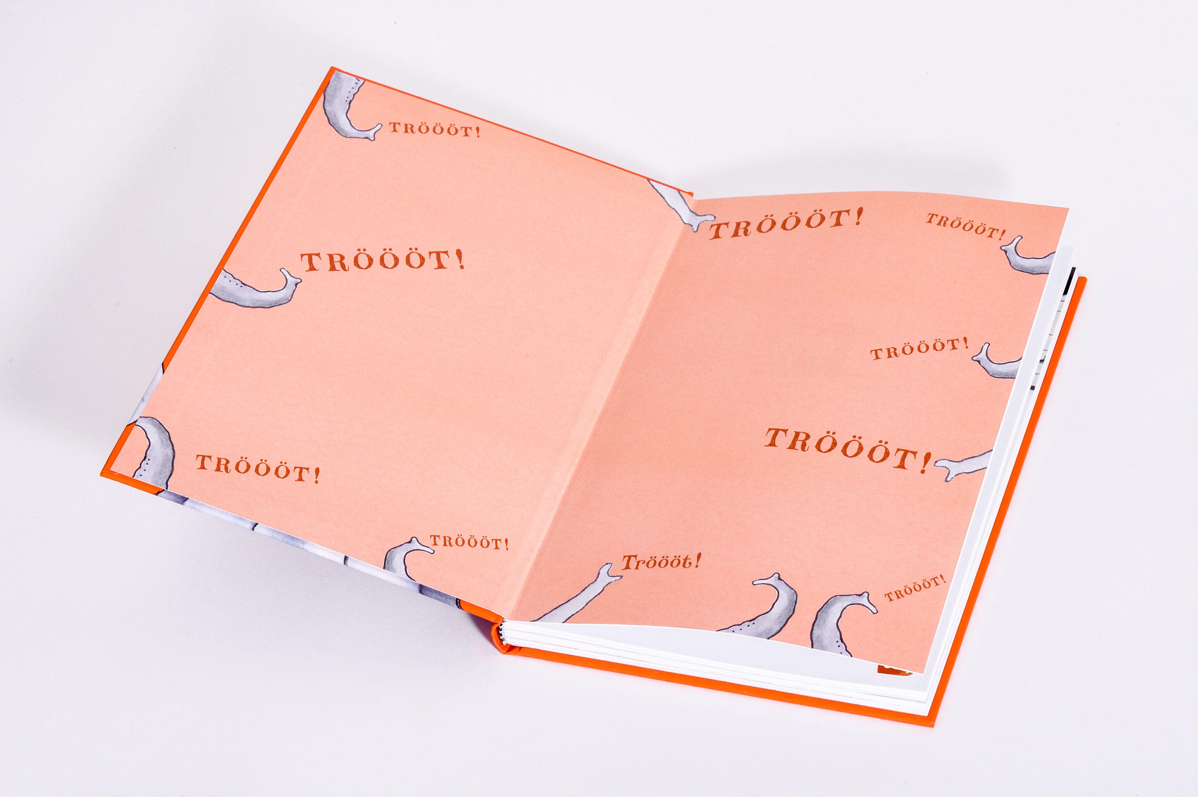 Beispielinhalt (Bild) Herwig und Elsie - Wo ist der große Zauberer?