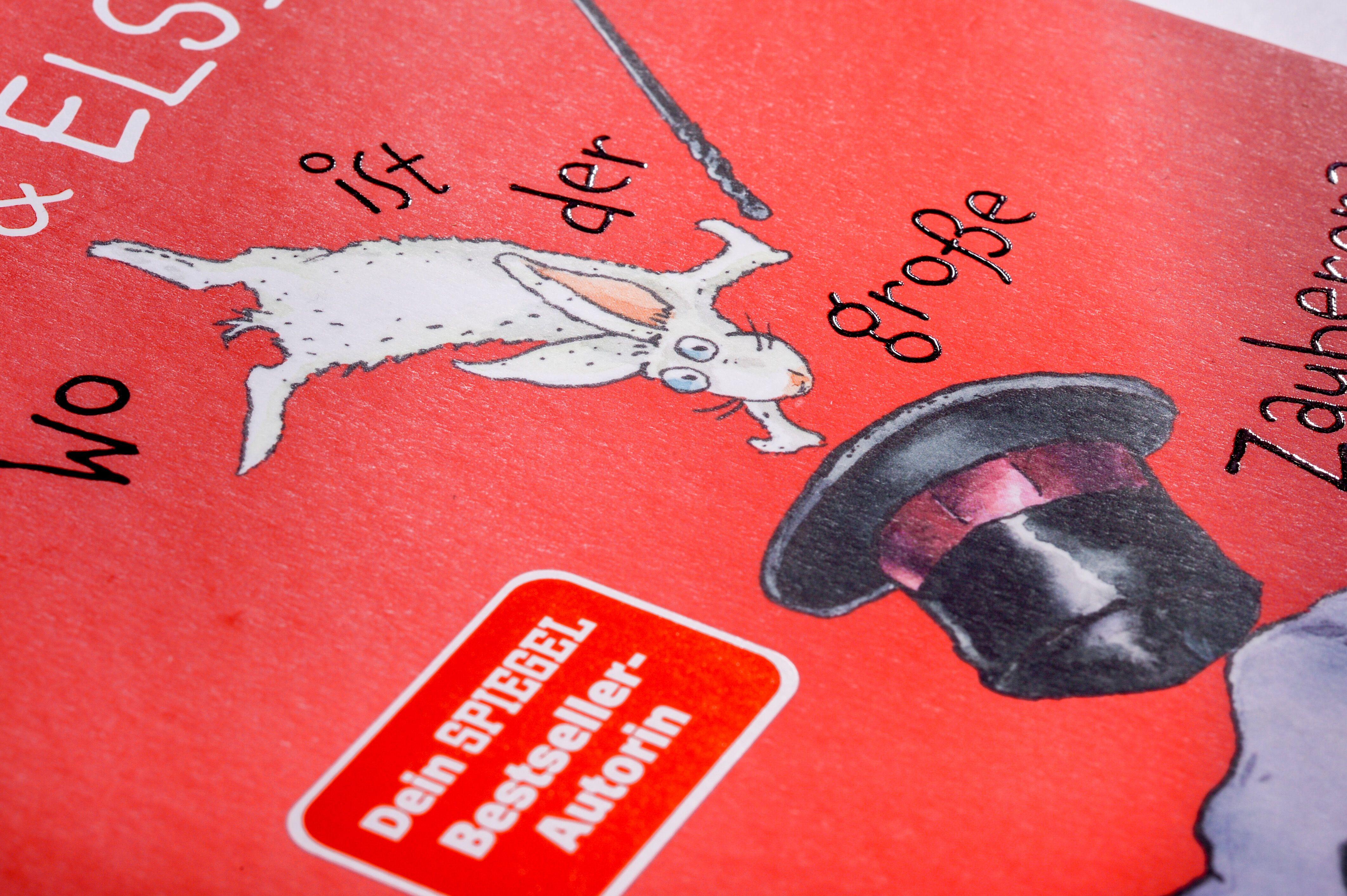 Beispielinhalt (Bild) Herwig und Elsie - Wo ist der große Zauberer?