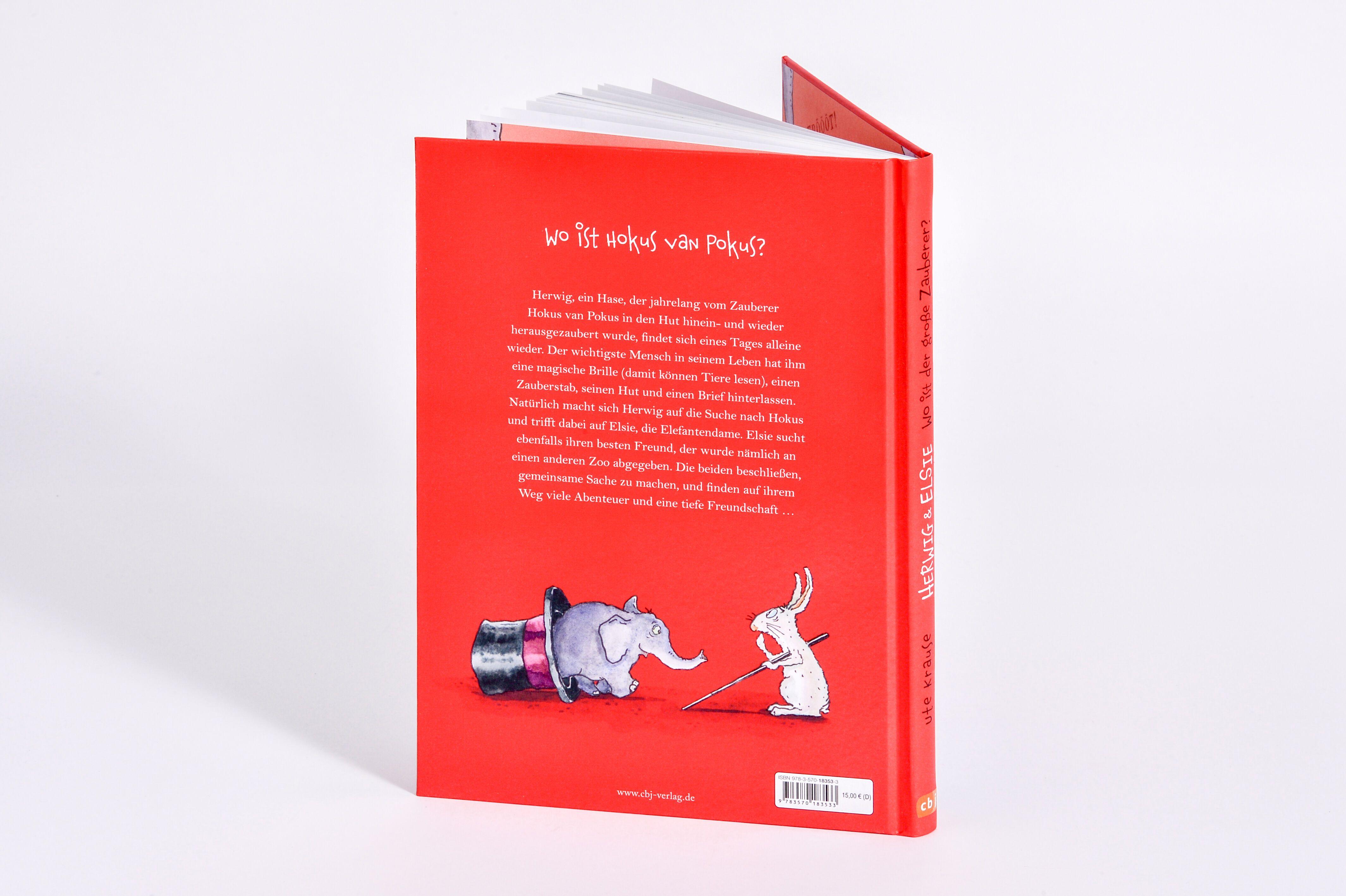 Beispielinhalt (Bild) Herwig und Elsie - Wo ist der große Zauberer?