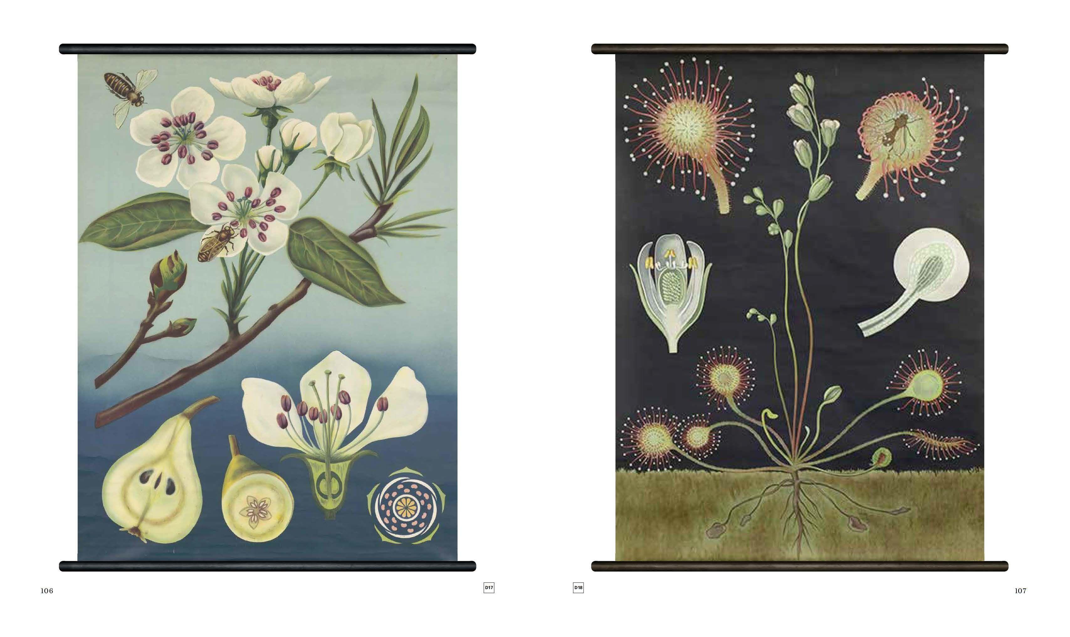 Beispielinhalt (Bild) Schaubilder und Schulkarten - Sonderausgabe