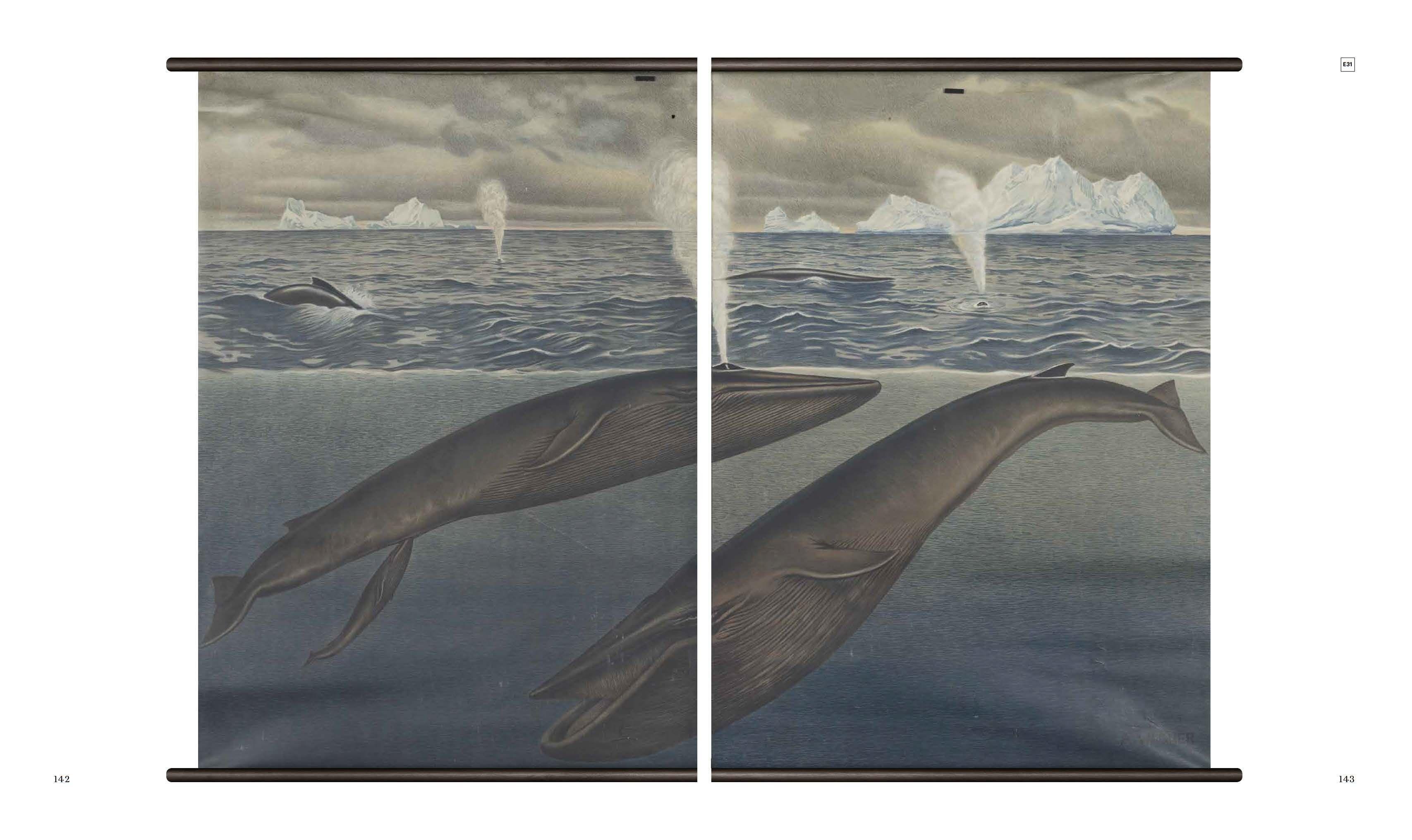 Beispielinhalt (Bild) Schaubilder und Schulkarten - Sonderausgabe