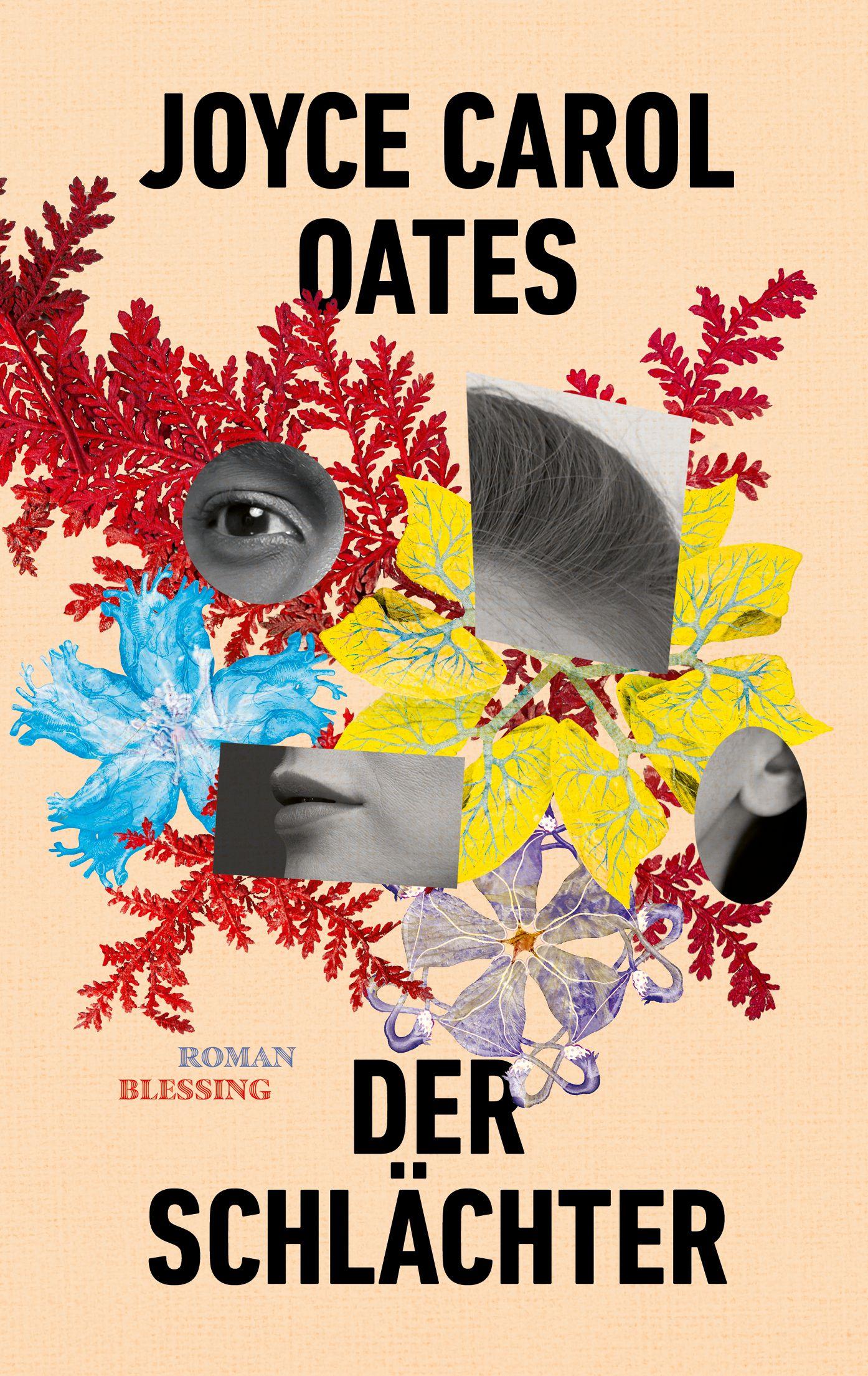 Vorderes Coverbild Der Schlächter