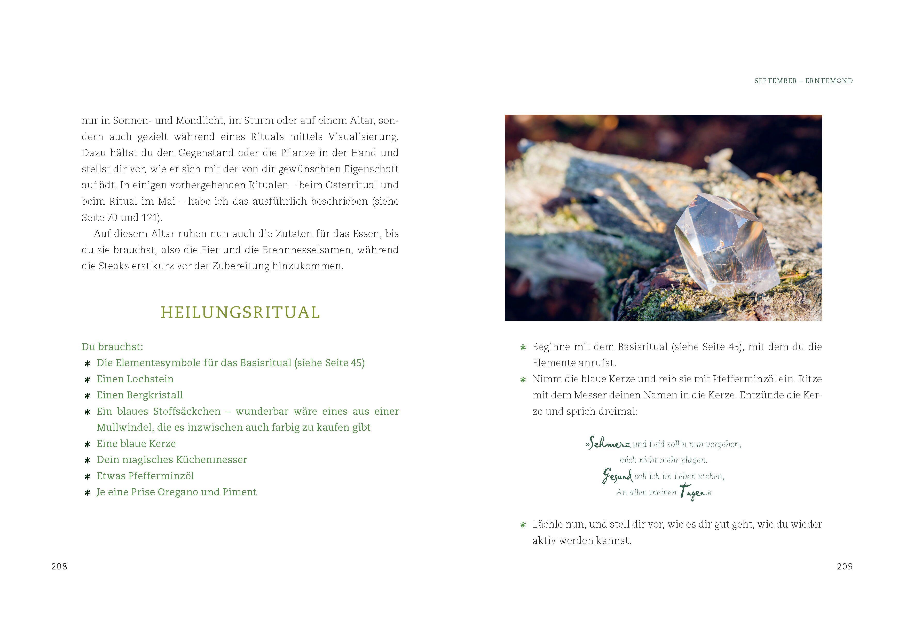 Beispielinhalt (Bild) Magische Kräuter rund ums Jahr