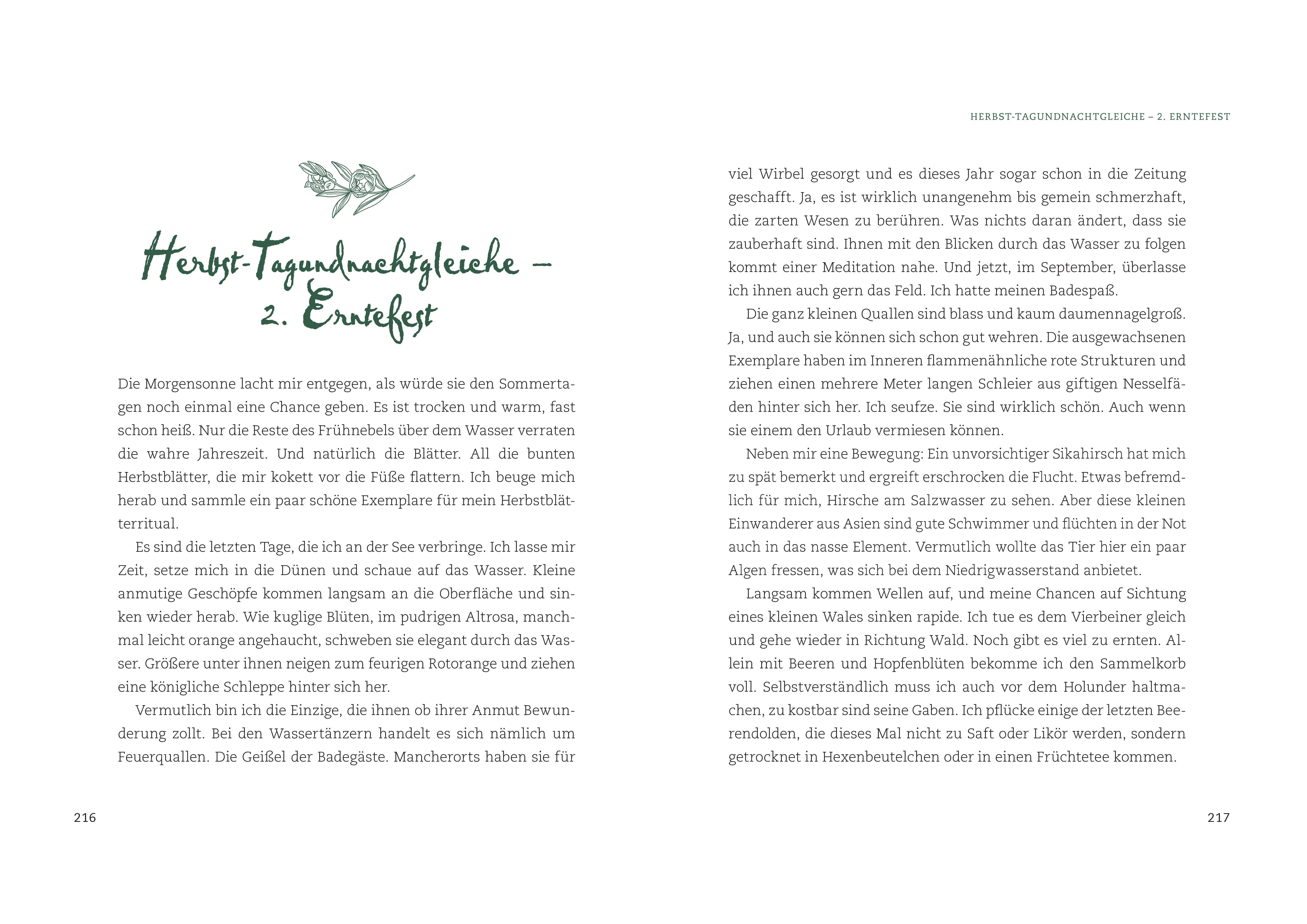 Beispielinhalt (Bild) Magische Kräuter rund ums Jahr