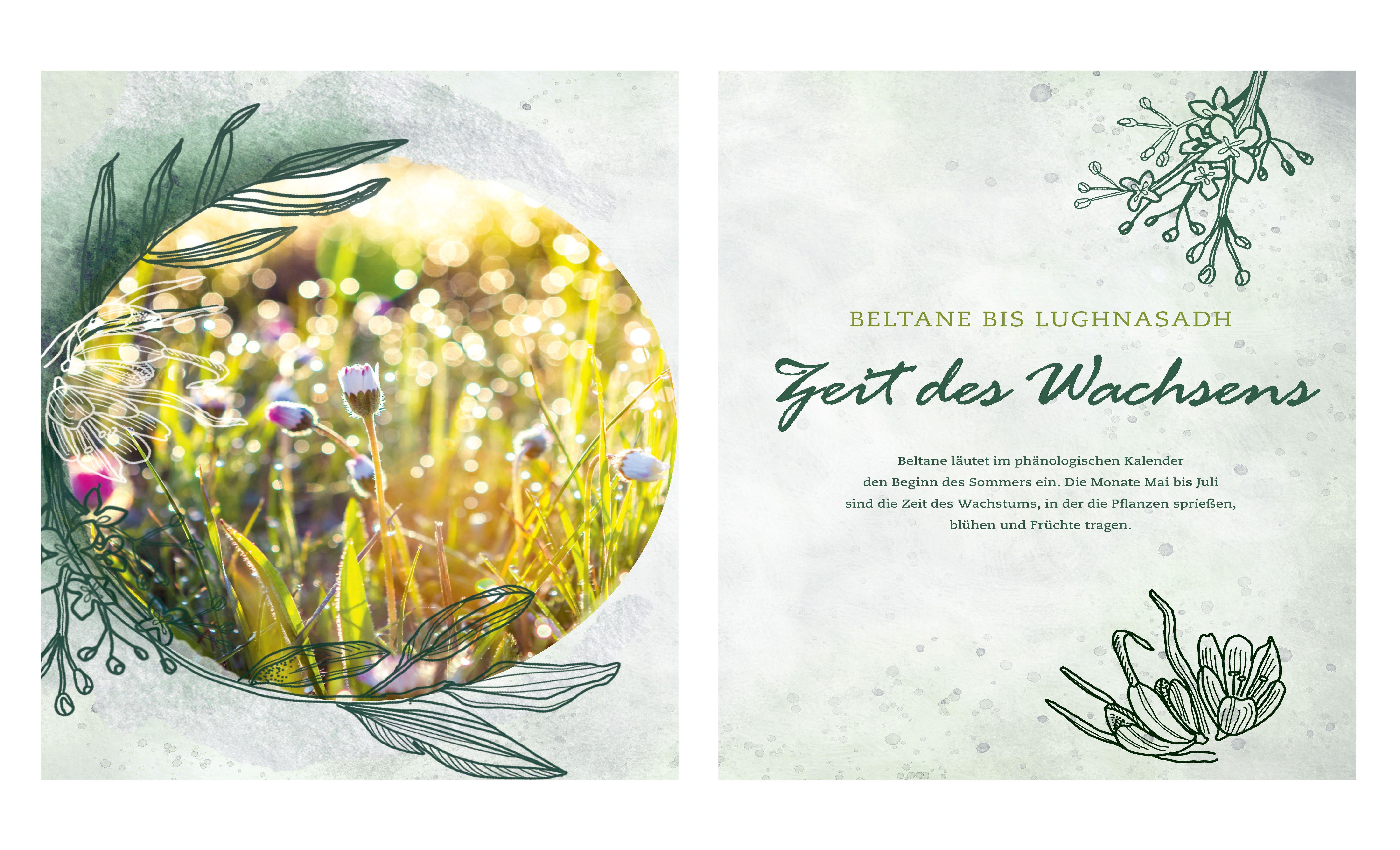 Beispielinhalt (Bild) Magische Kräuter rund ums Jahr