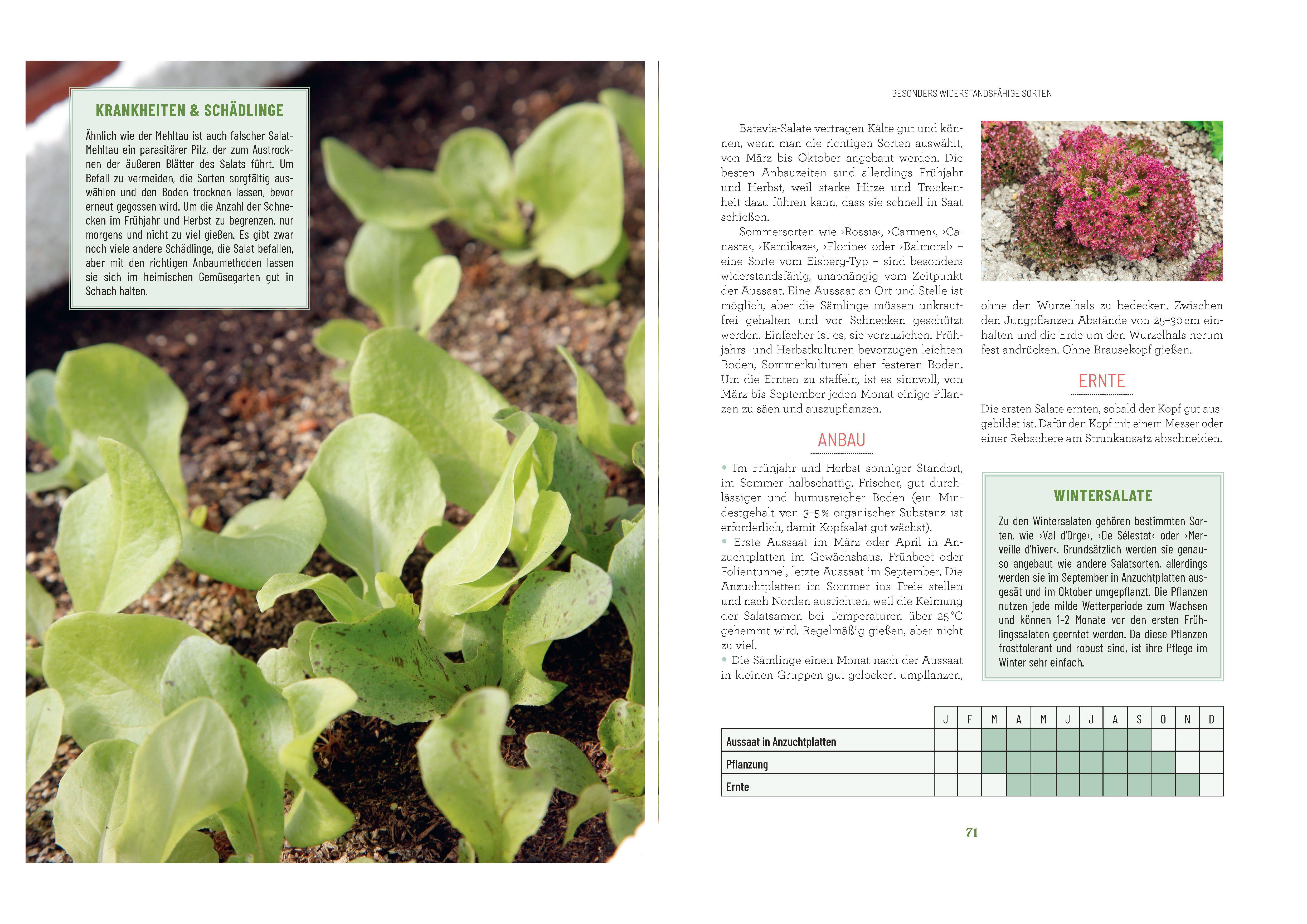 Beispielinhalt (Bild) Der Survival-Garten - Gemüse- und Obstsorten, die allen Widrigkeiten trotzen