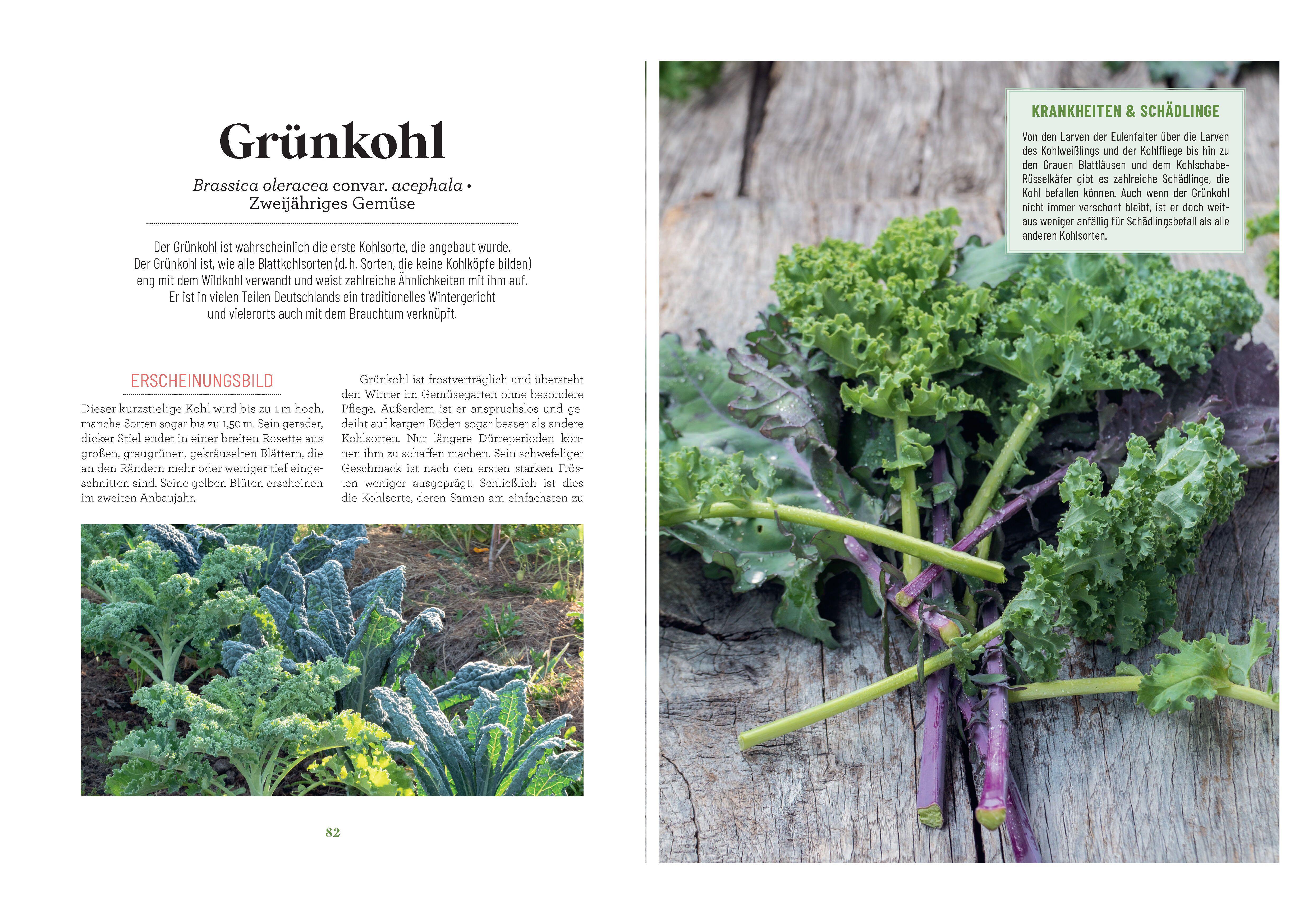 Beispielinhalt (Bild) Der Survival-Garten - Gemüse- und Obstsorten, die allen Widrigkeiten trotzen