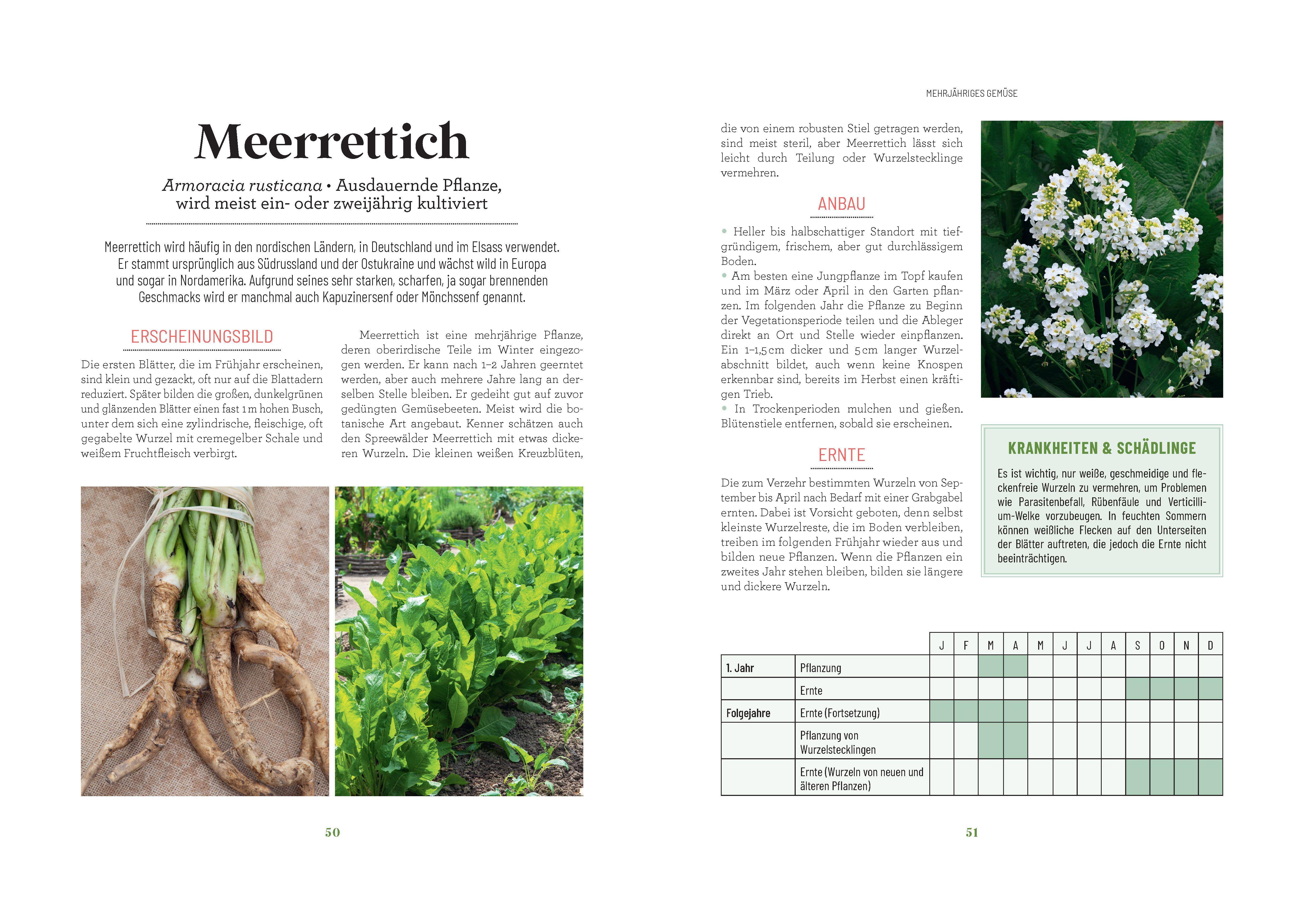 Beispielinhalt (Bild) Der Survival-Garten - Gemüse- und Obstsorten, die allen Widrigkeiten trotzen