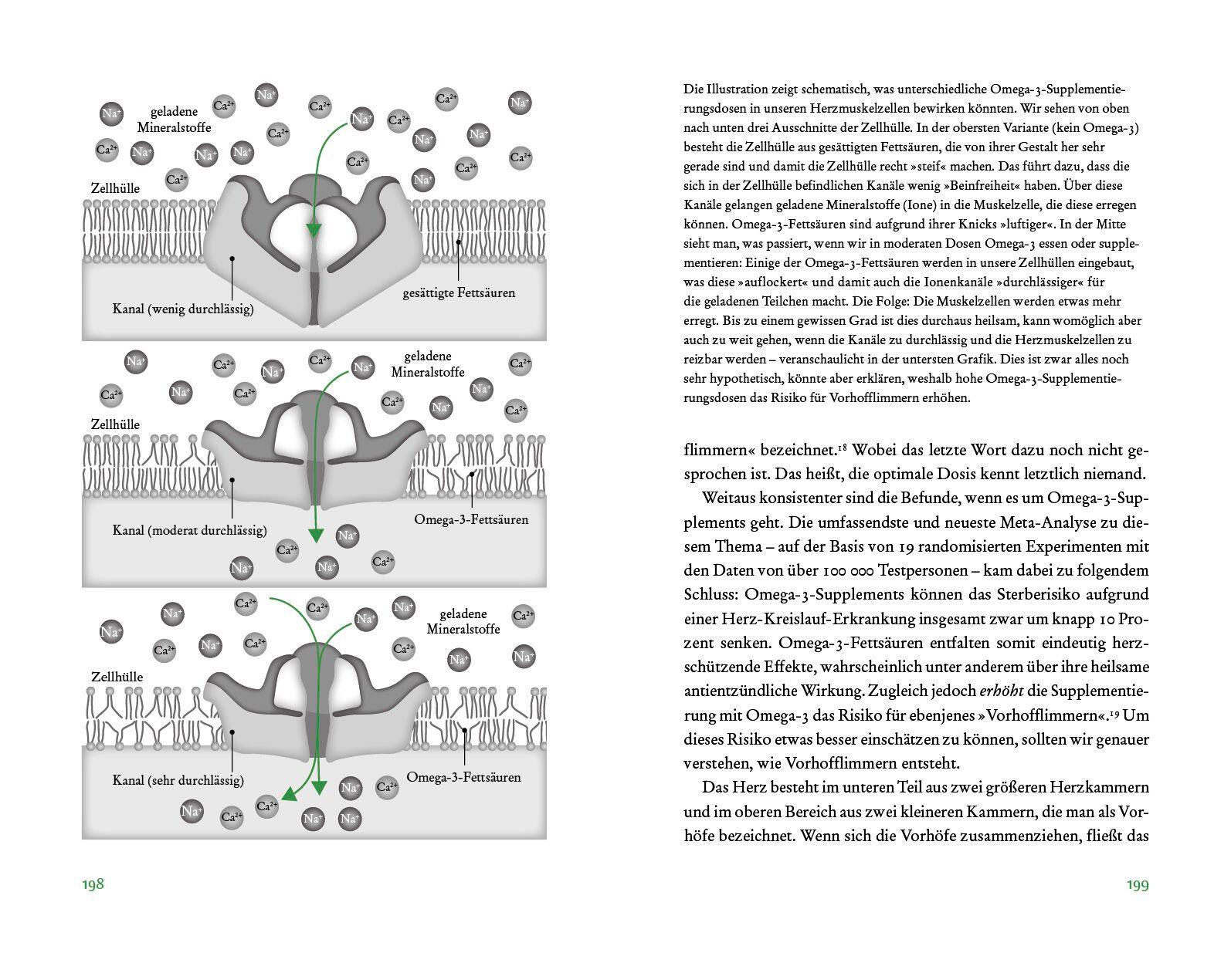 Beispielinhalt (Bild) Der Vitamin- und Nährstoffkompass