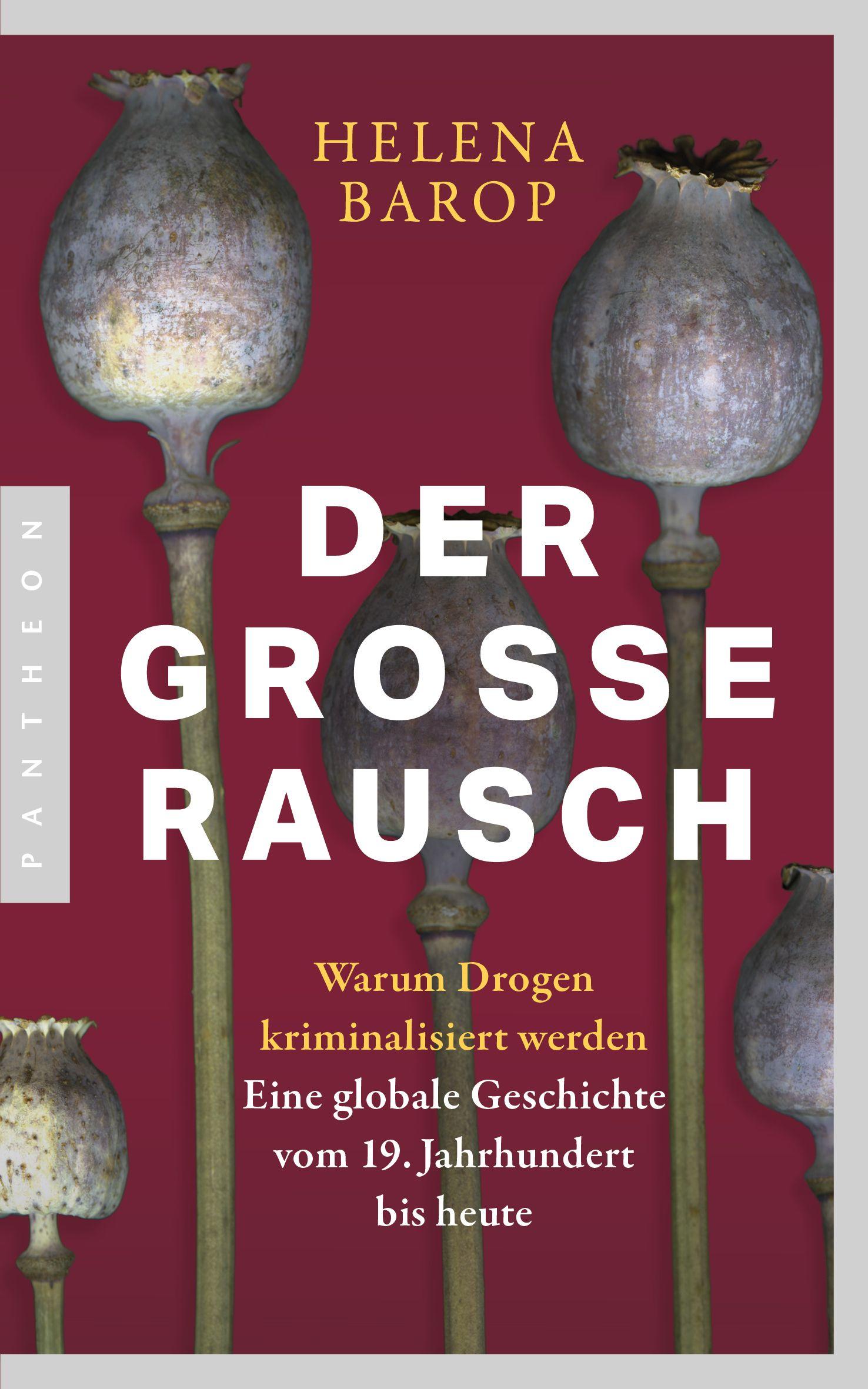 Vorderes Coverbild Der große Rausch