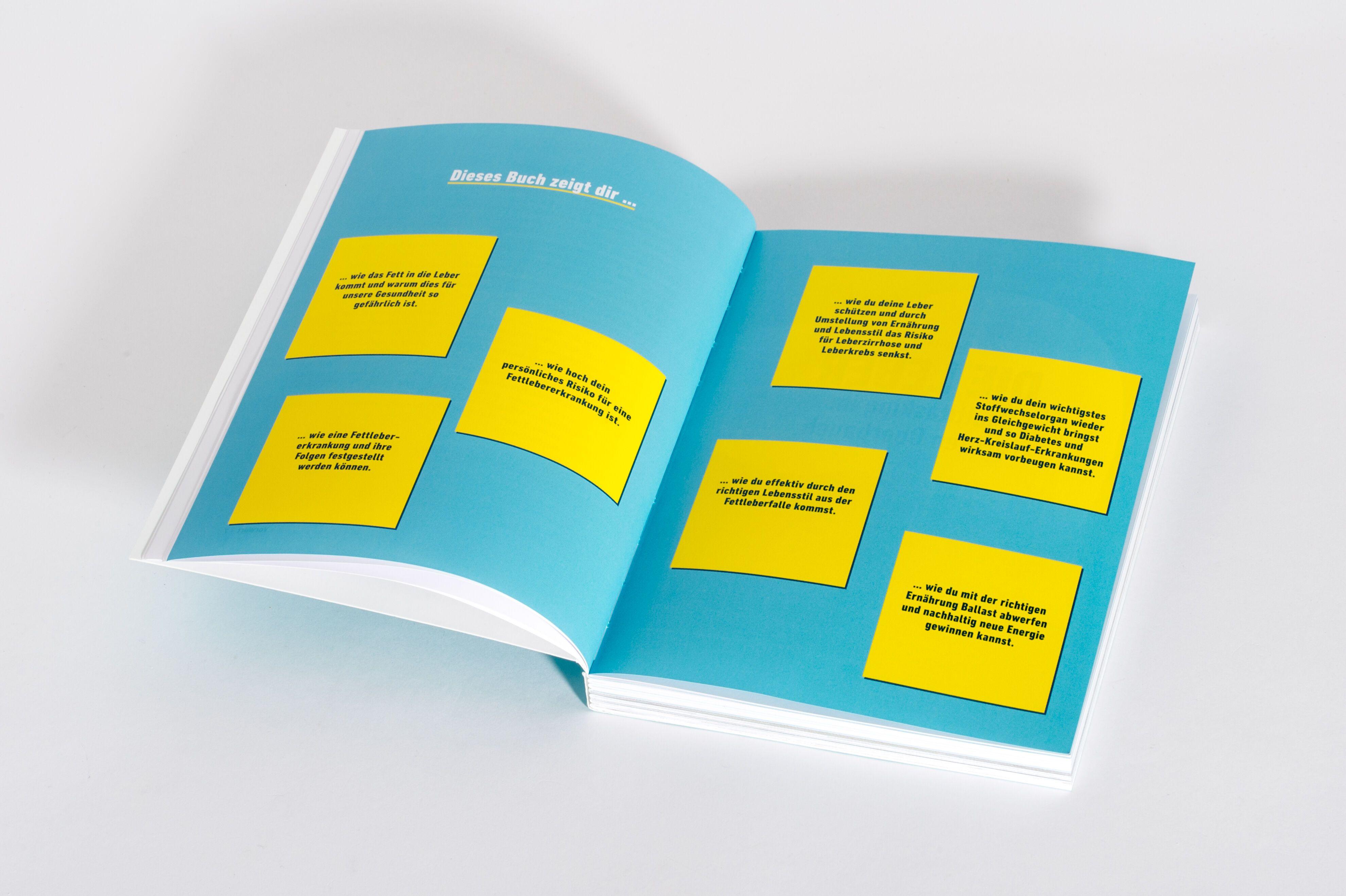 Beispielinhalt (Bild) Fettleber, was nun?