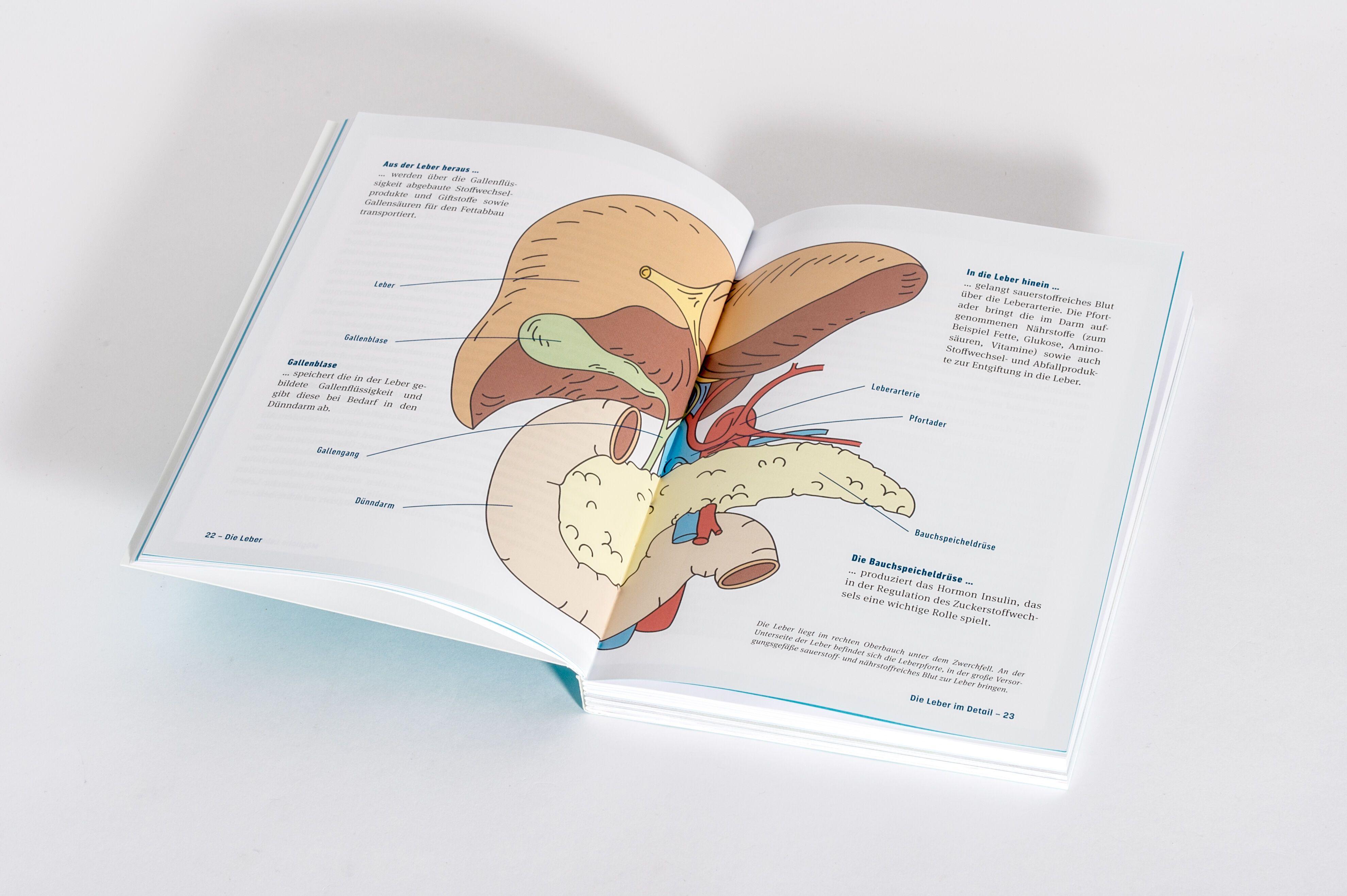 Beispielinhalt (Bild) Fettleber, was nun?