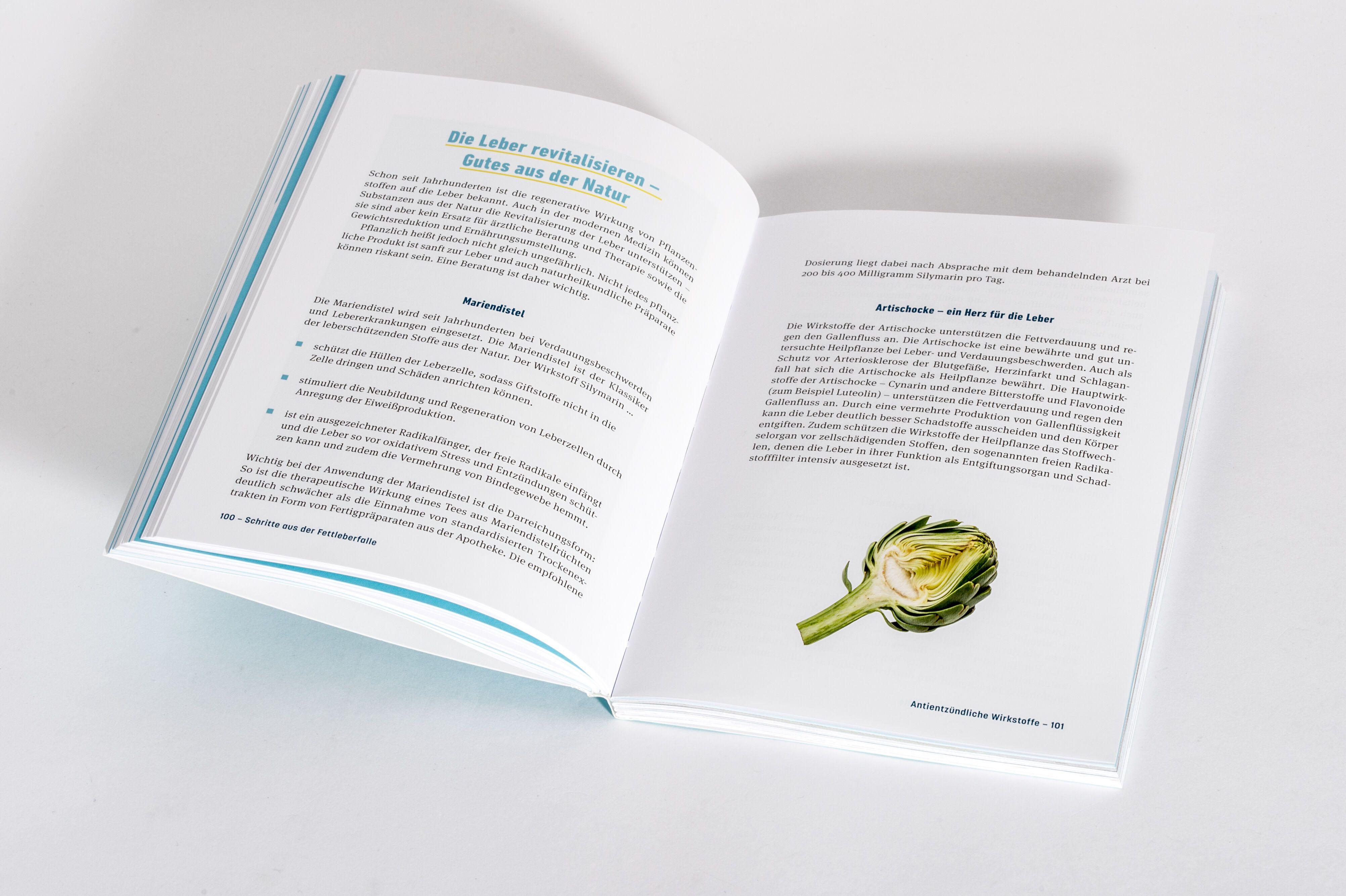 Beispielinhalt (Bild) Fettleber, was nun?