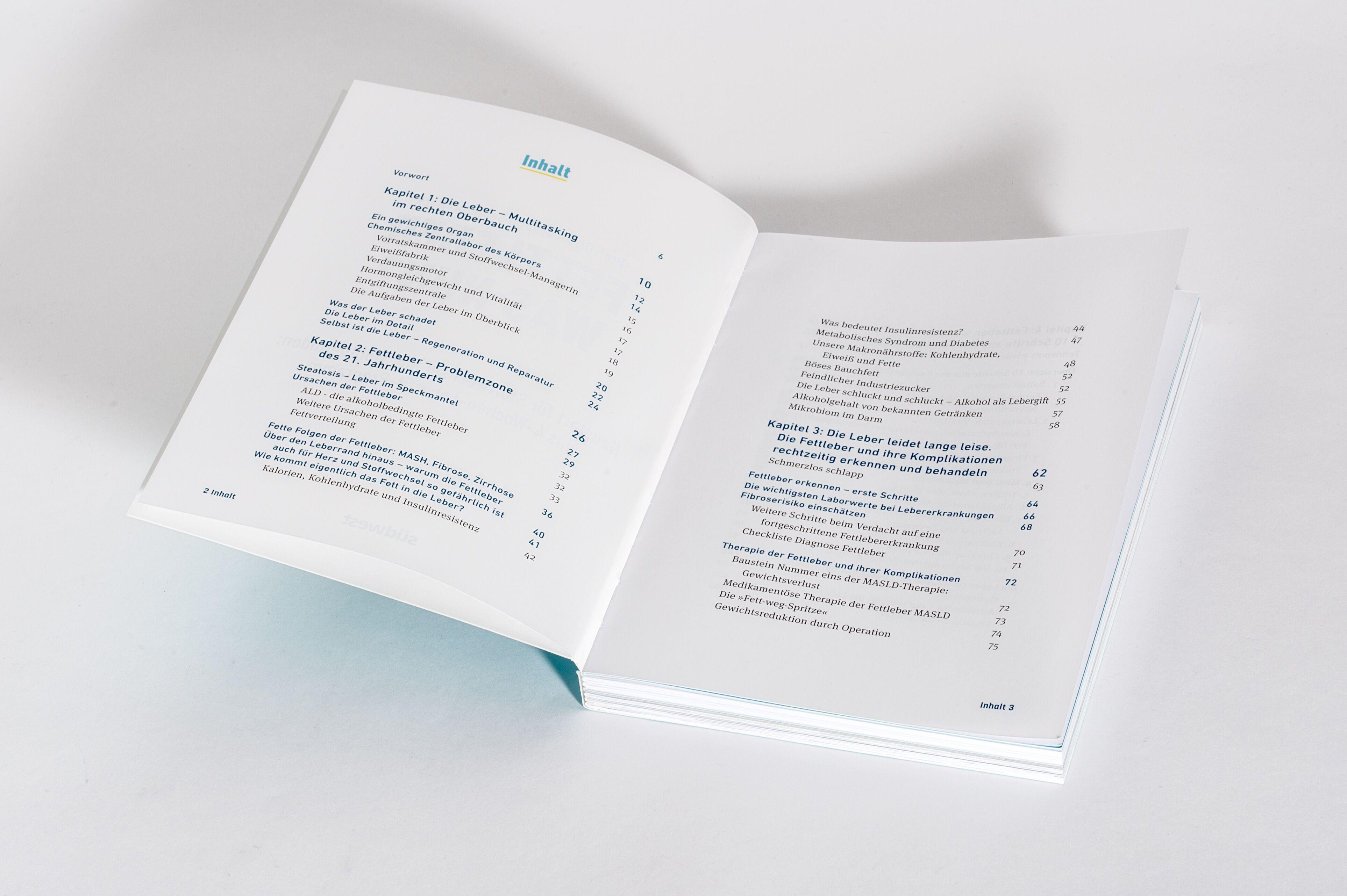 Beispielinhalt (Bild) Fettleber, was nun?