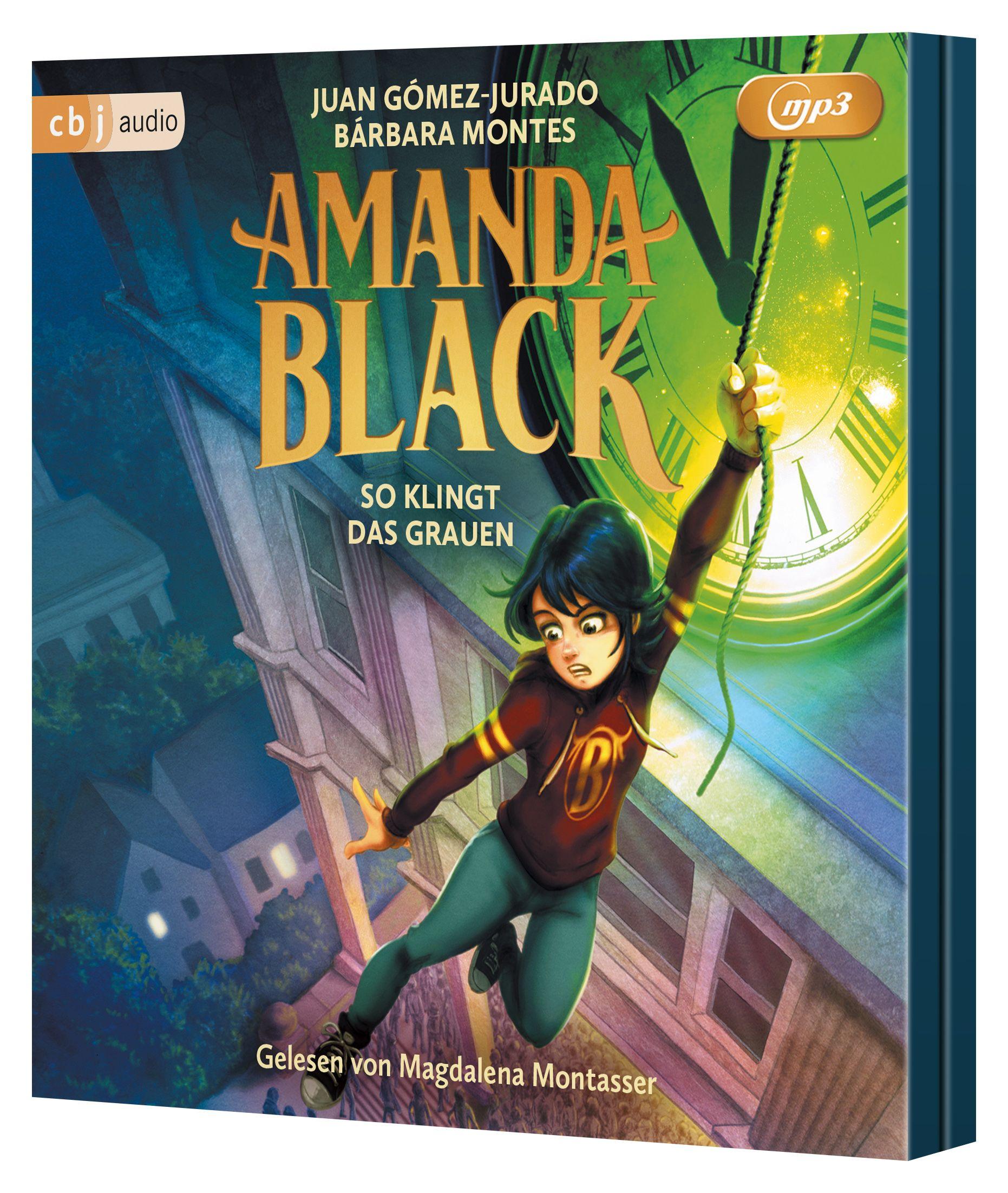 Vorderes Coverbild Amanda Black