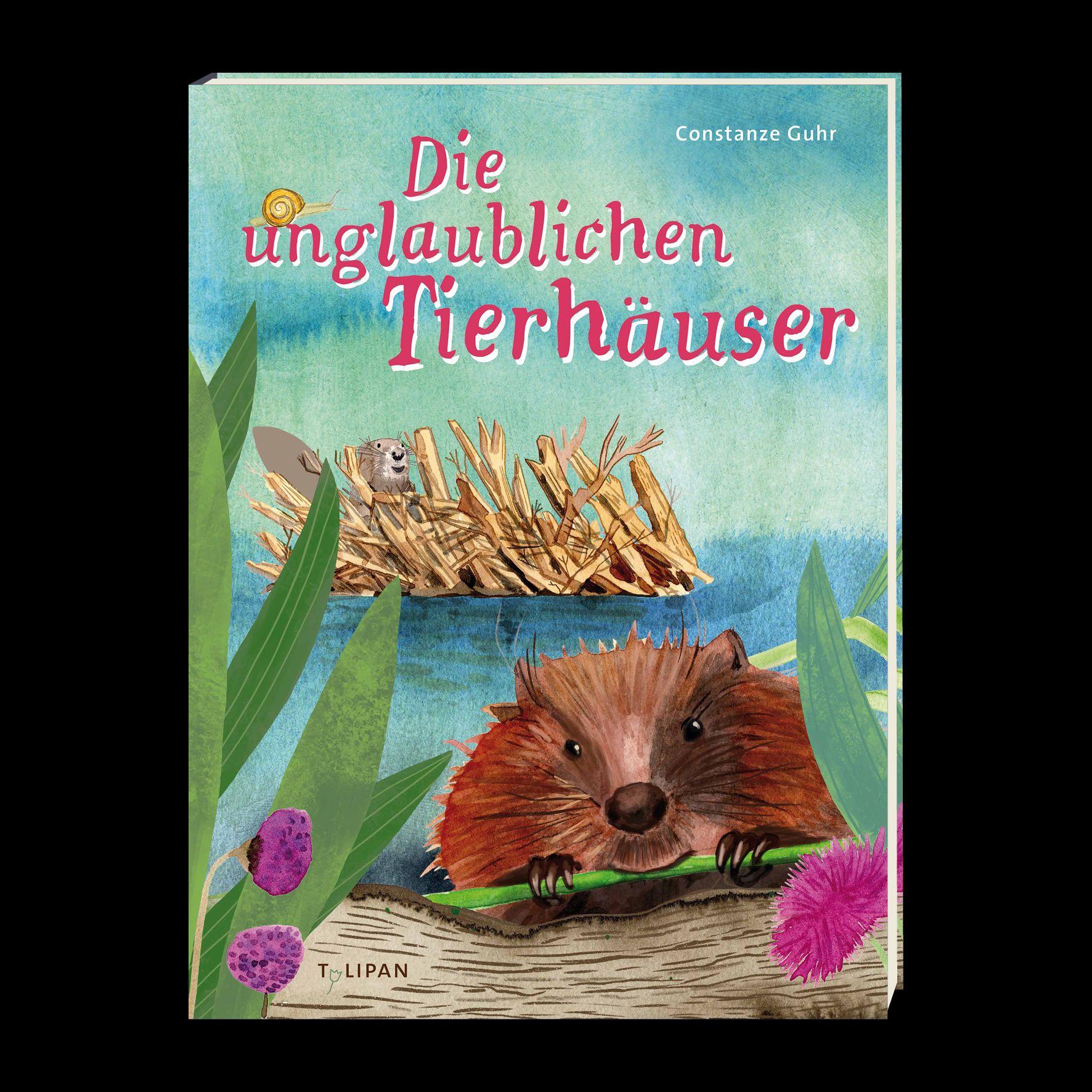 Beispielinhalt (Bild) Die unglaublichen Tierhäuser