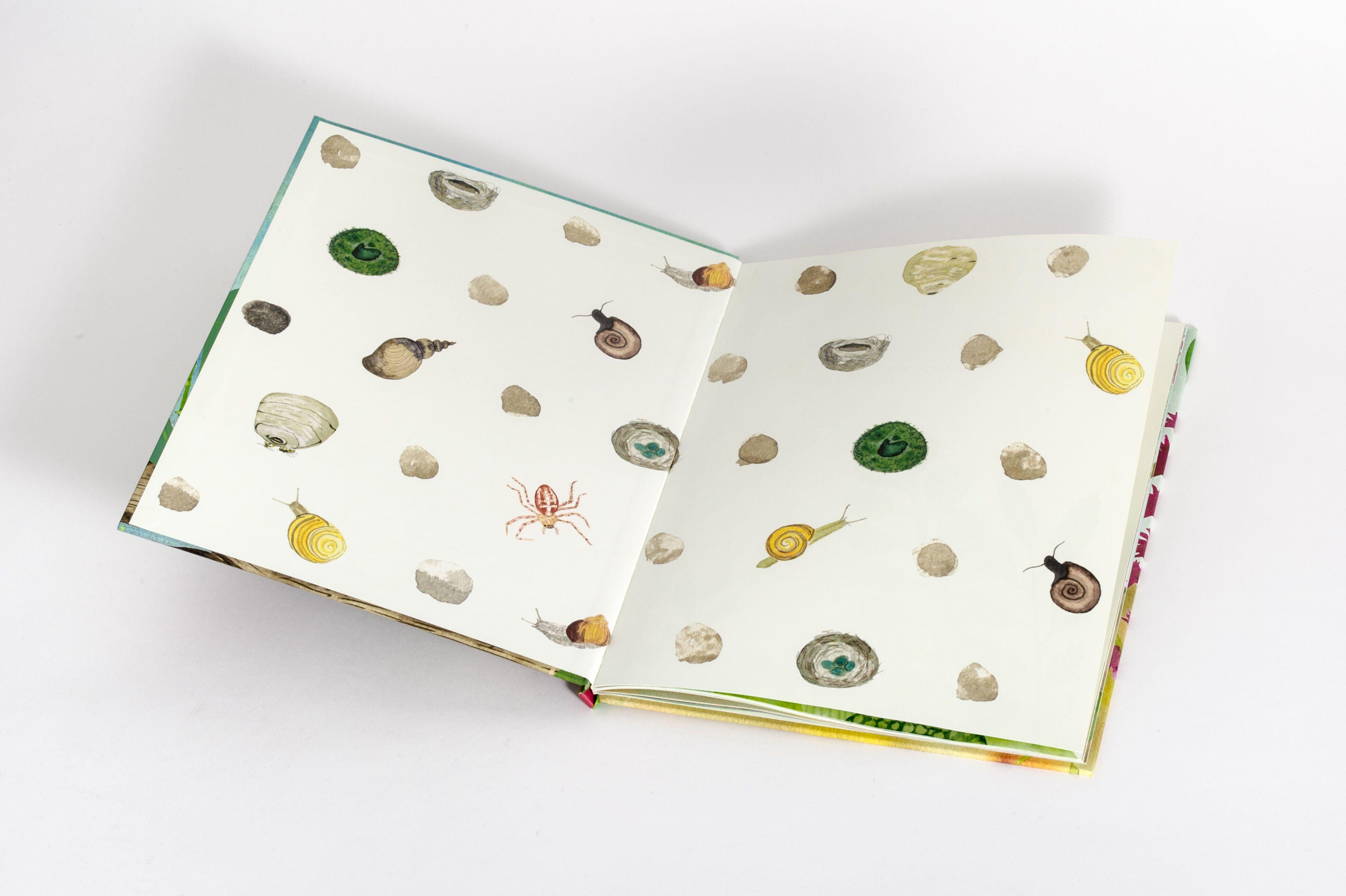 Beispielinhalt (Bild) Die unglaublichen Tierhäuser