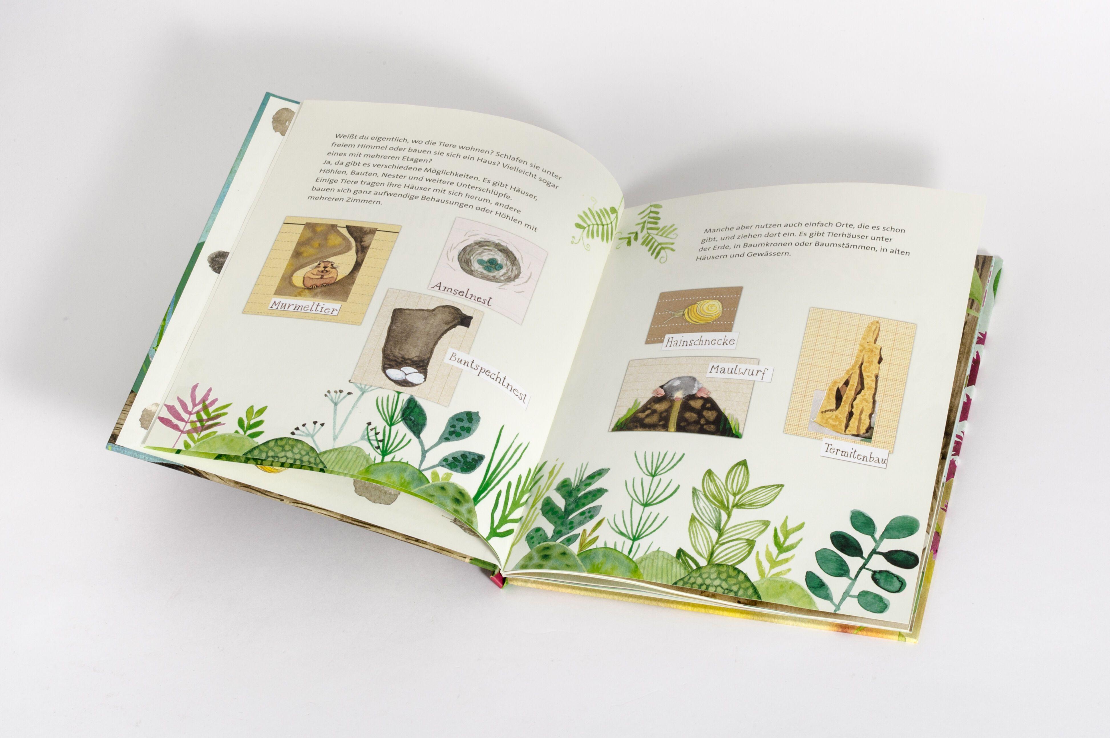 Beispielinhalt (Bild) Die unglaublichen Tierhäuser