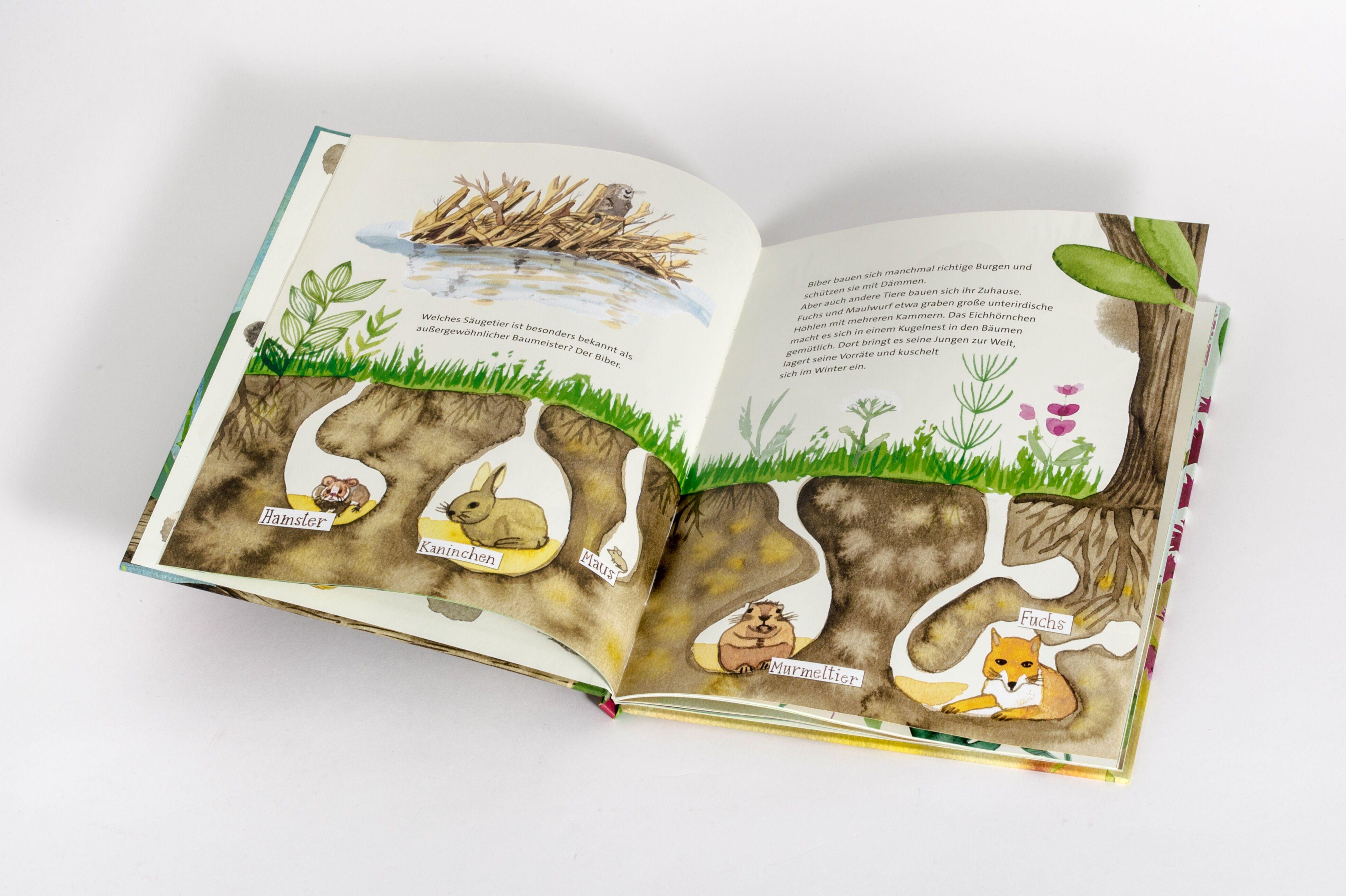 Beispielinhalt (Bild) Die unglaublichen Tierhäuser