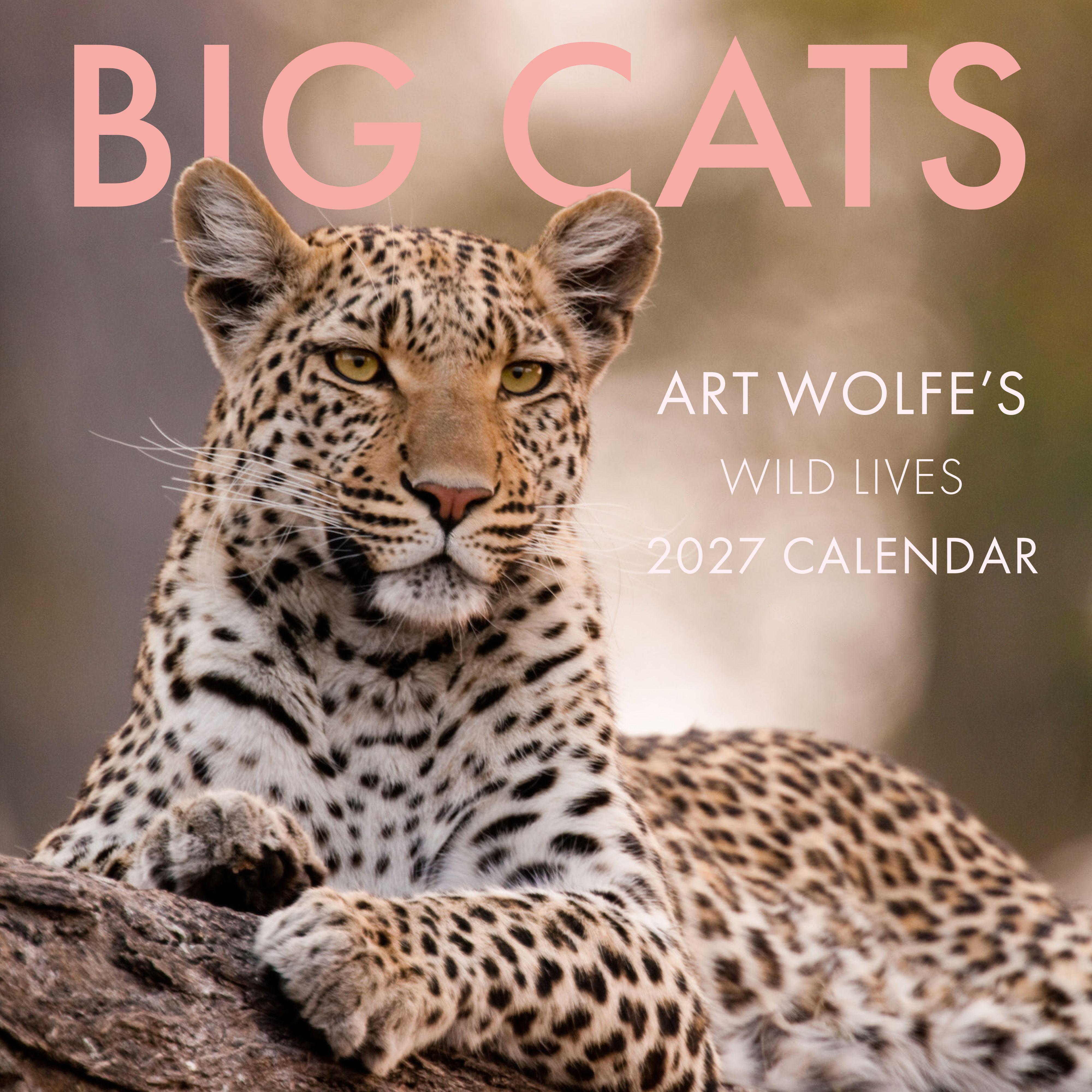 Vorderes Coverbild 2027 Big Cats Wall Calendar