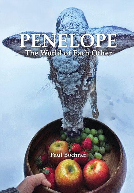 Vorderes Coverbild Penelope