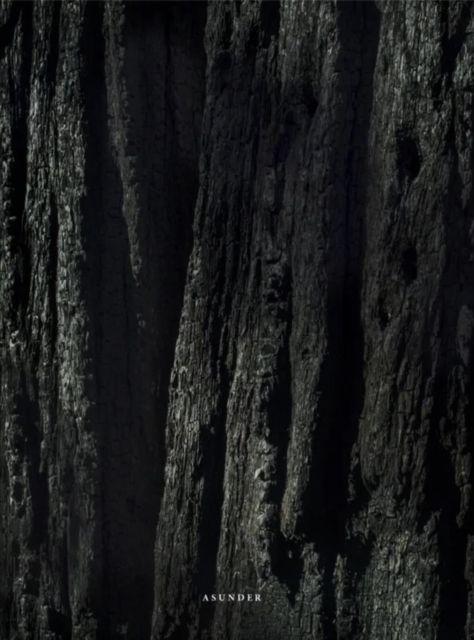 Vorderes Coverbild Asunder