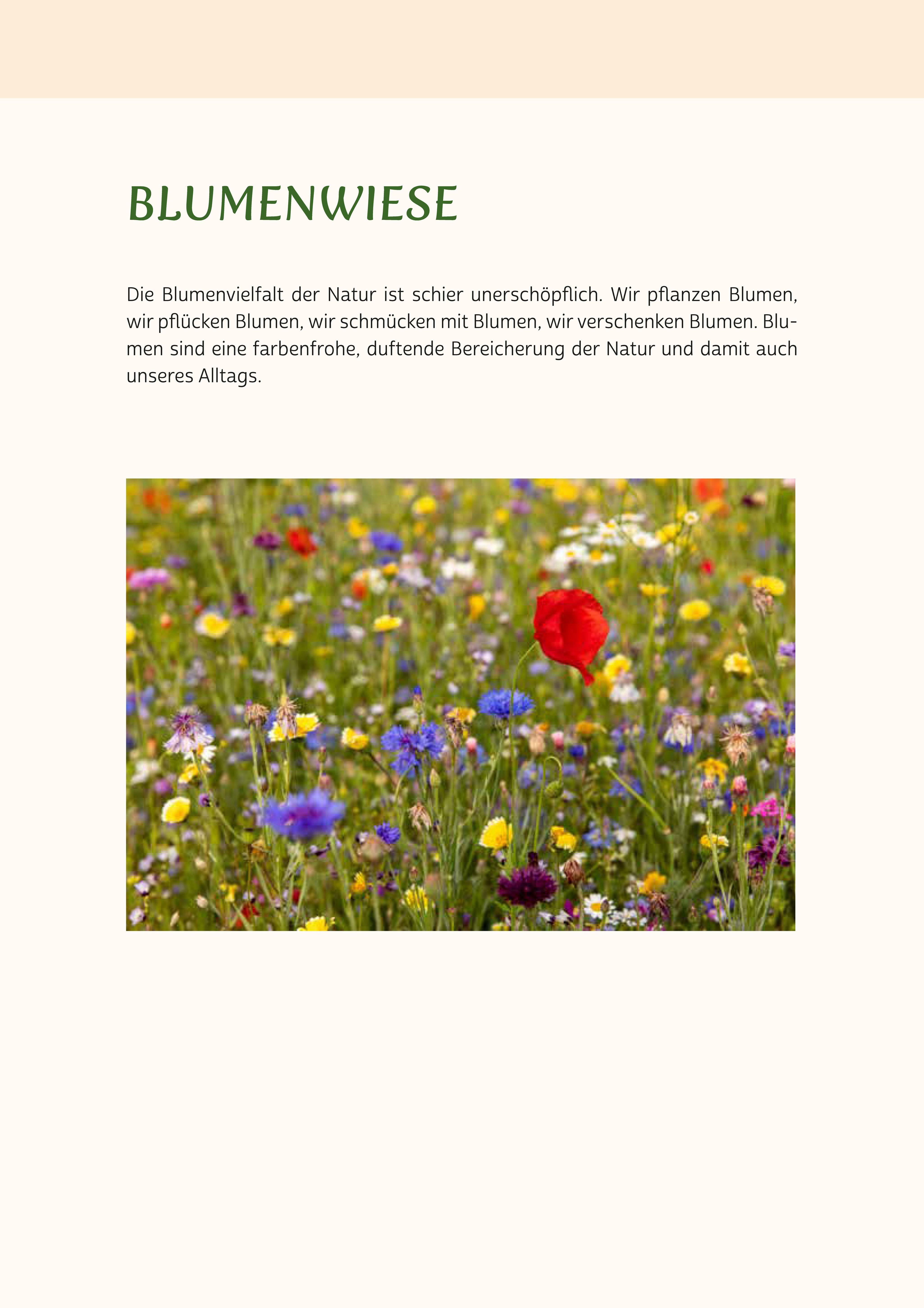 Beispielinhalt (Bild) Gedächtnistraining für Senioren | Gehirnjogging für Naturliebhaber