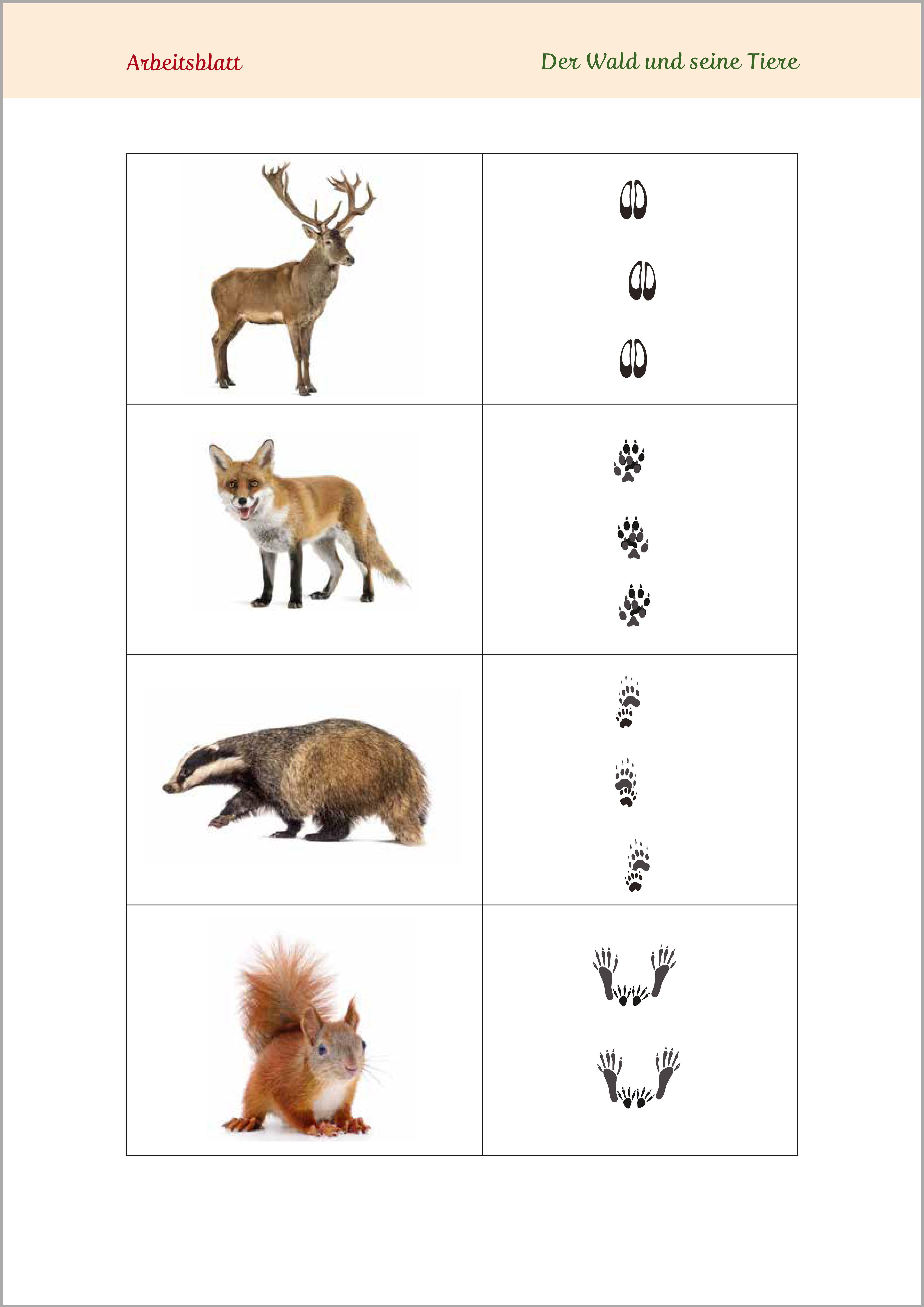 Beispielinhalt (Bild) Gedächtnistraining für Senioren | Gehirnjogging für Naturliebhaber