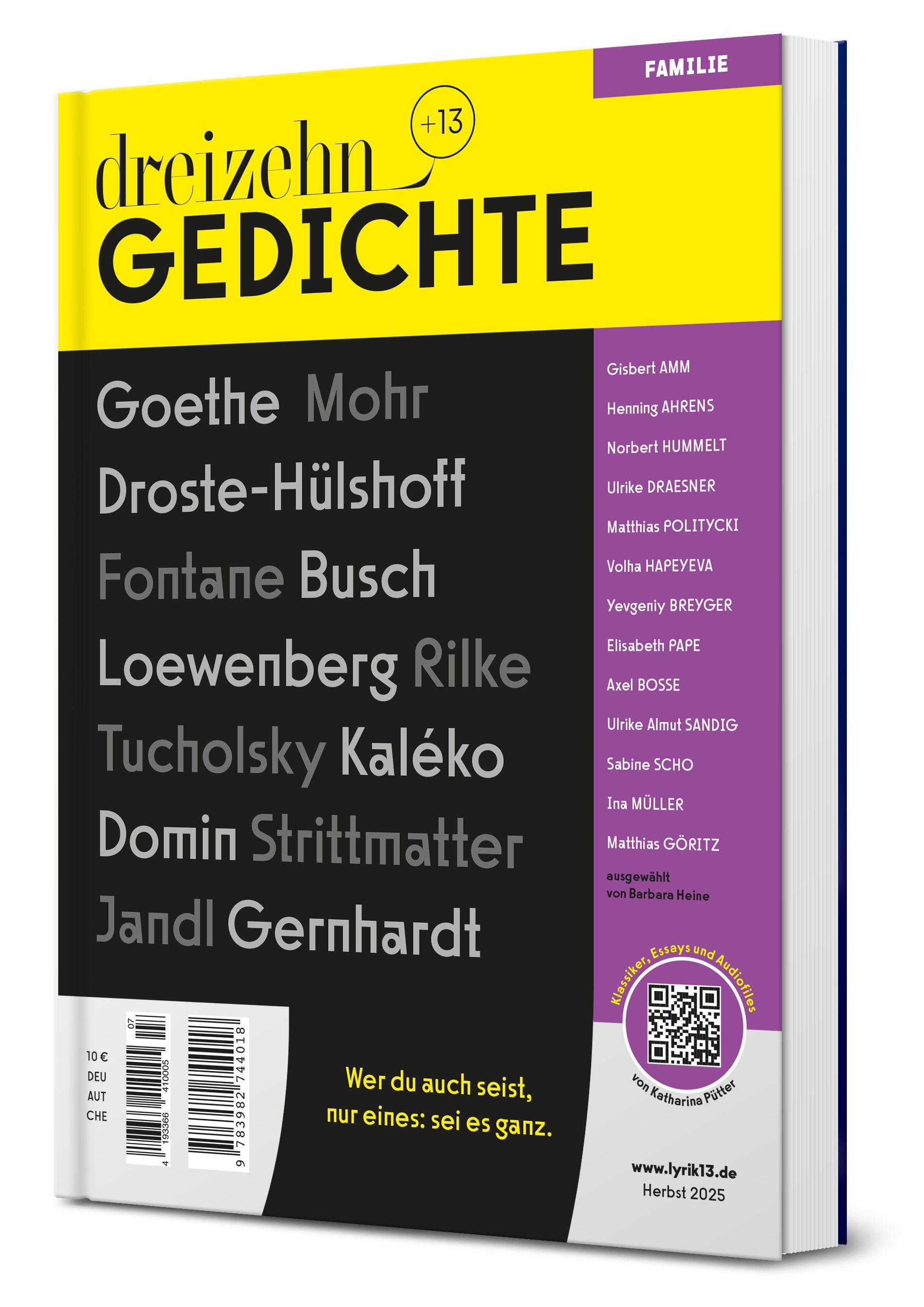 Vorderes Coverbild dreizehn +13 Gedichte
