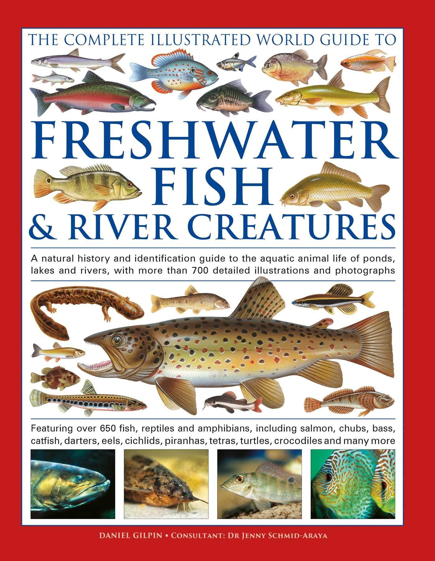 Vorderes Coverbild The Complete Illustrated World Guide to Freshwater Fish and River Creatures