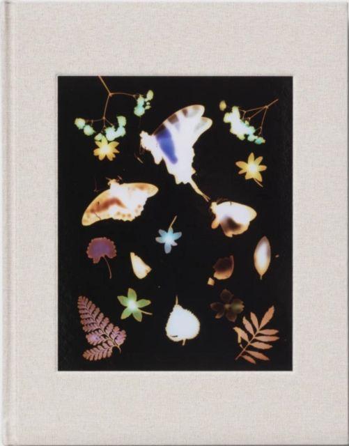 Vorderes Coverbild The Marble