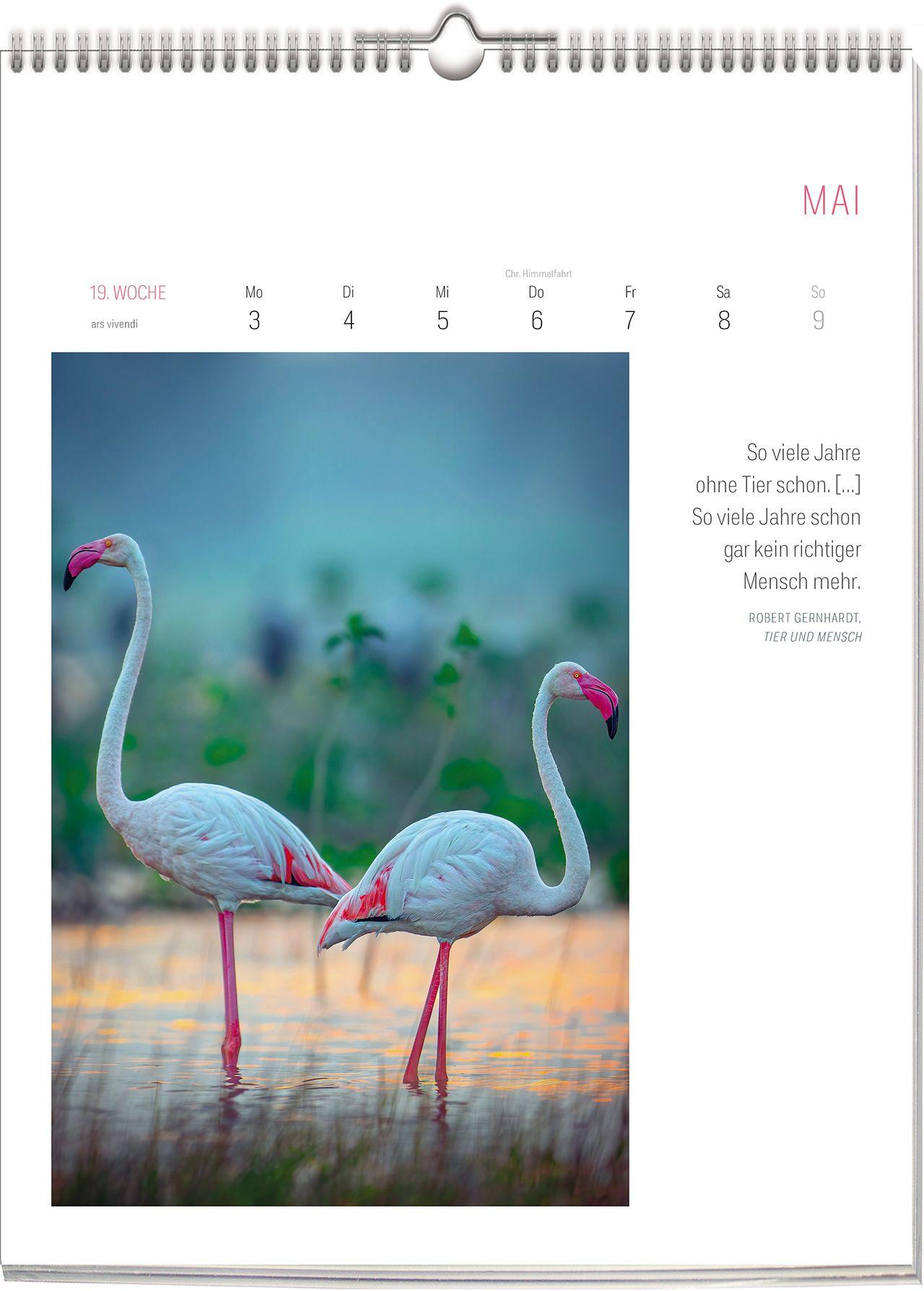 Beispielinhalt (Bild) Literarischer Vogel Kalender 2027