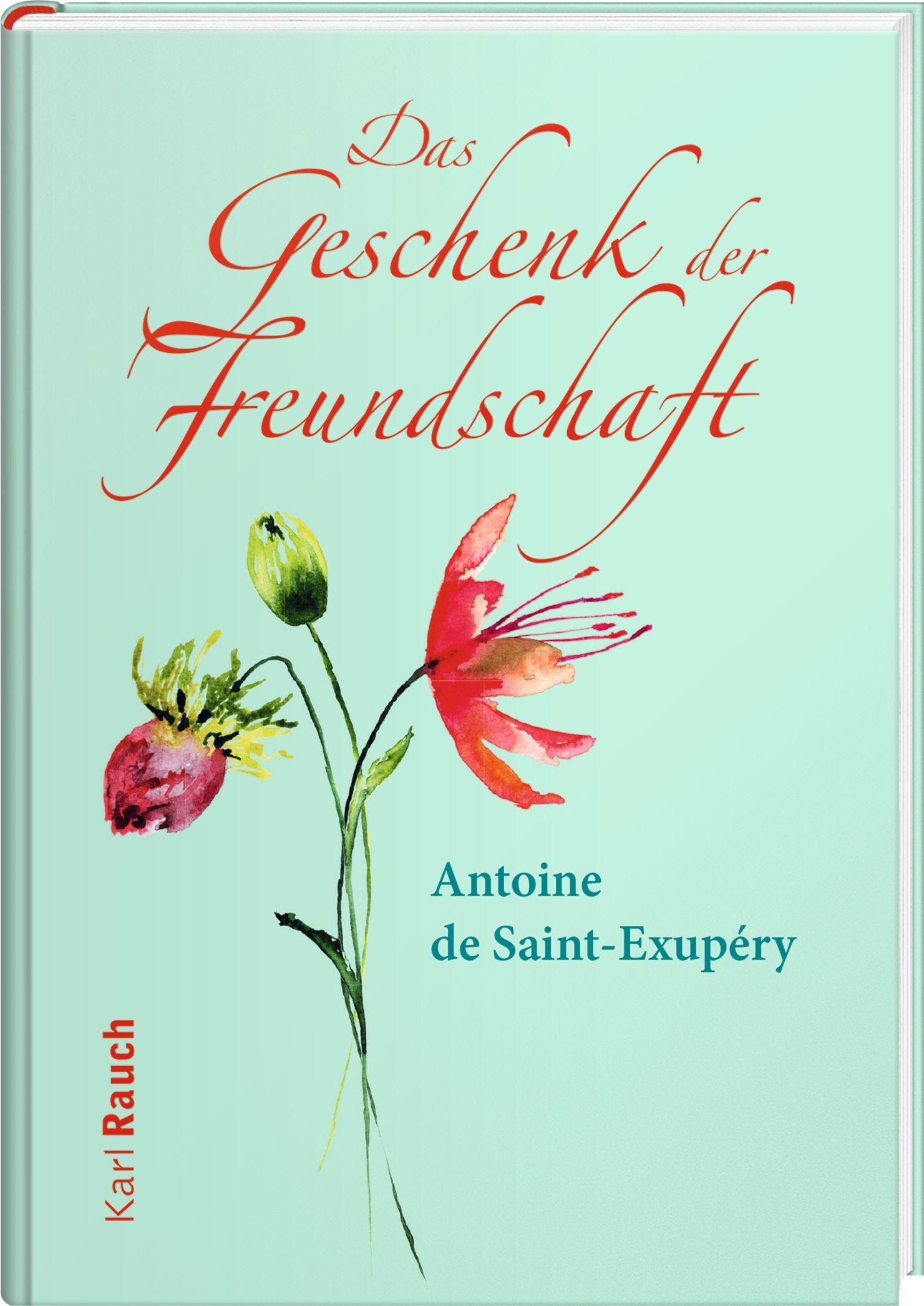 Vorderes Coverbild Das Geschenk der Freundschaft