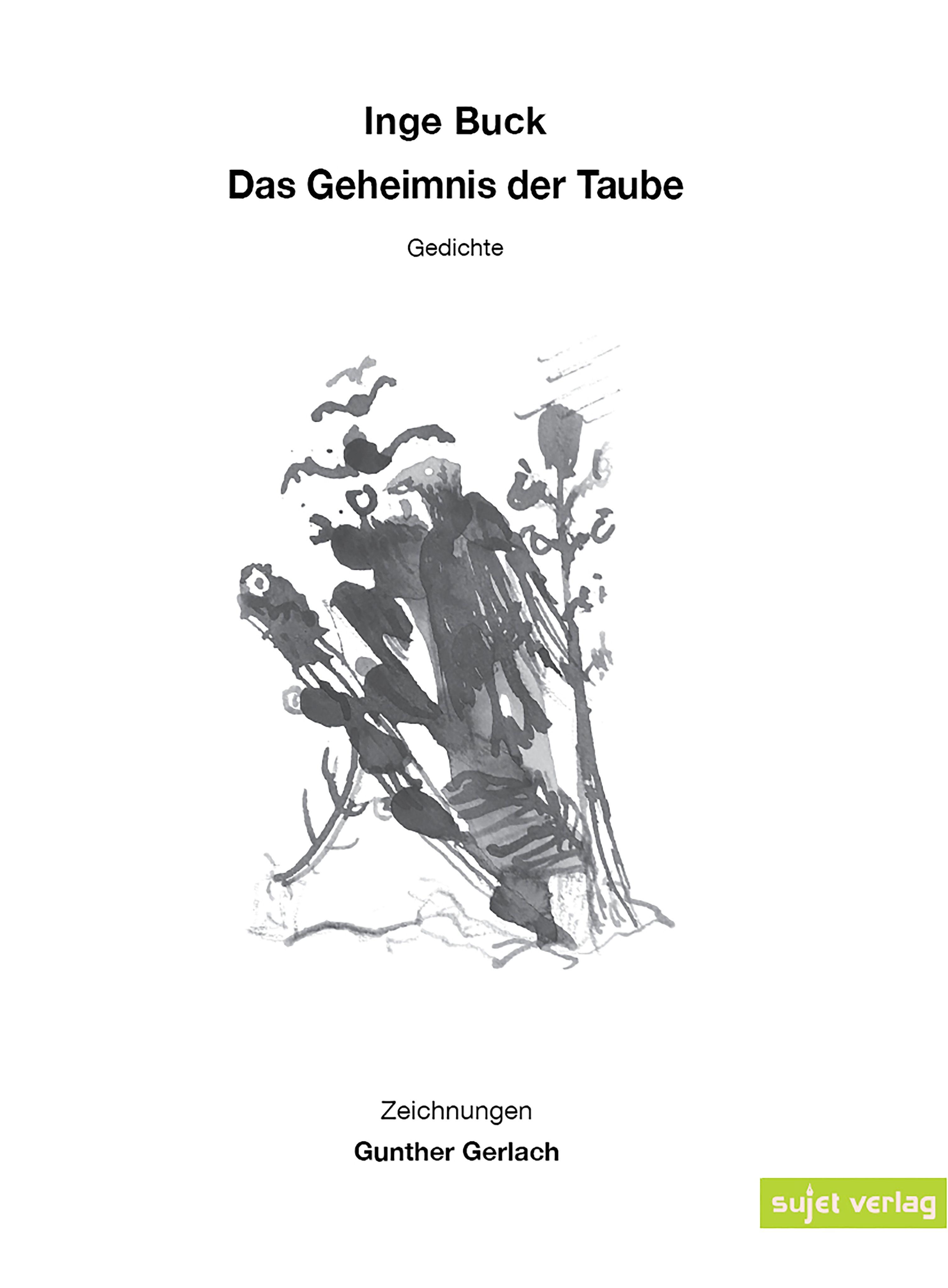 Vorderes Coverbild Das Geheimnis der Taube